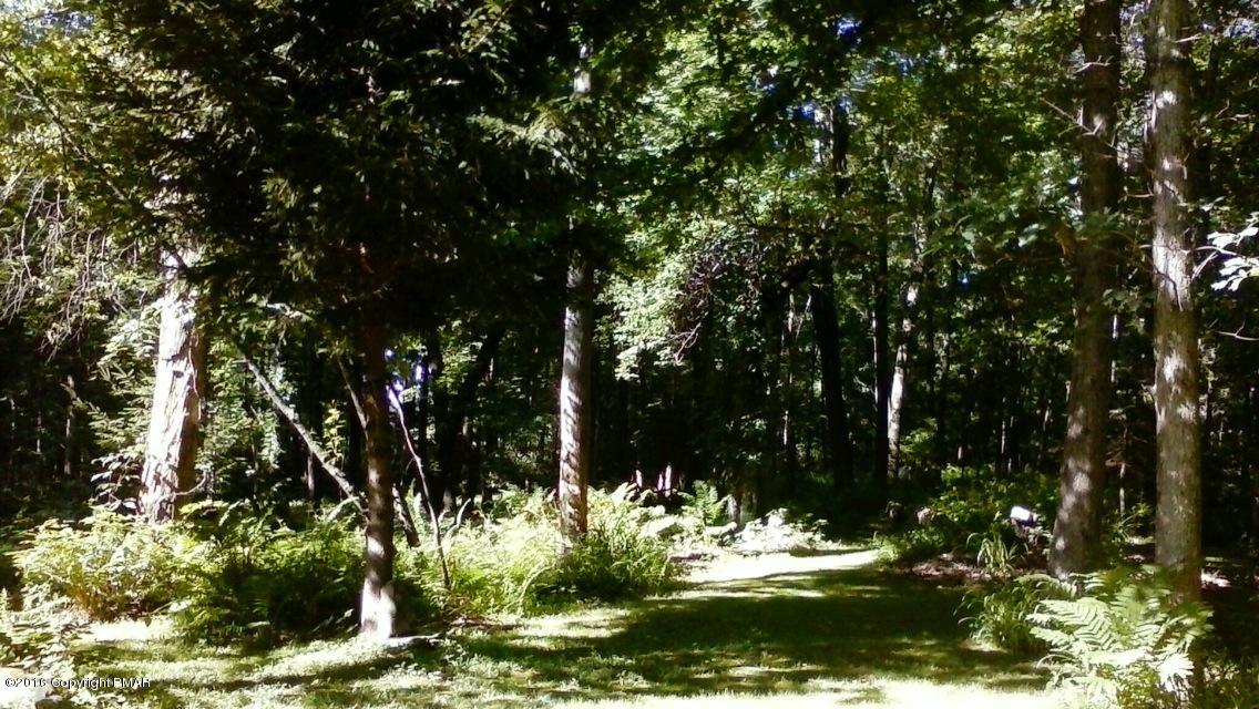 498 Grange Road Mount Pocono, PA 18344 - Photo 37 of 39 Forest