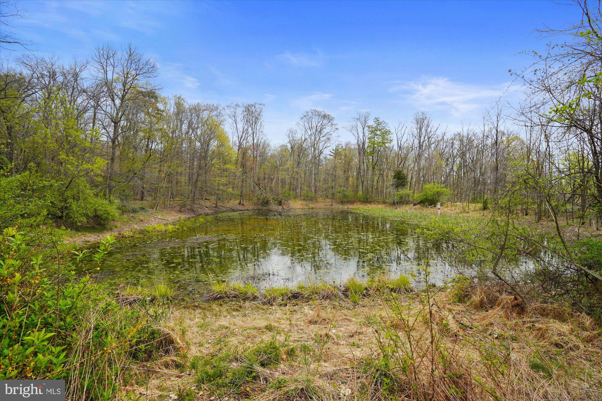 137B Fort Road Bernville, PA 19506 - Photo 35 of 50 Pond 1