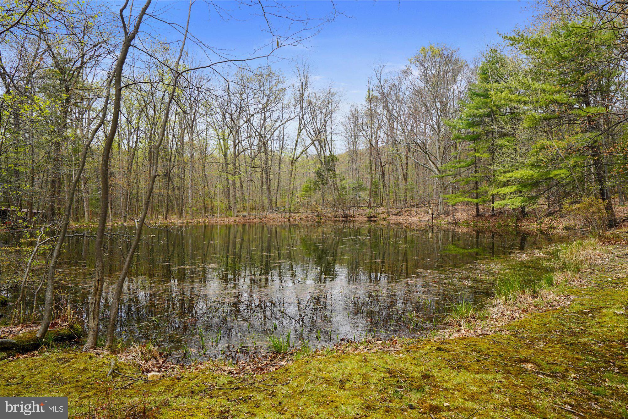 137B Fort Road Bernville, PA 19506 - Photo 36 of 50 Pond 2