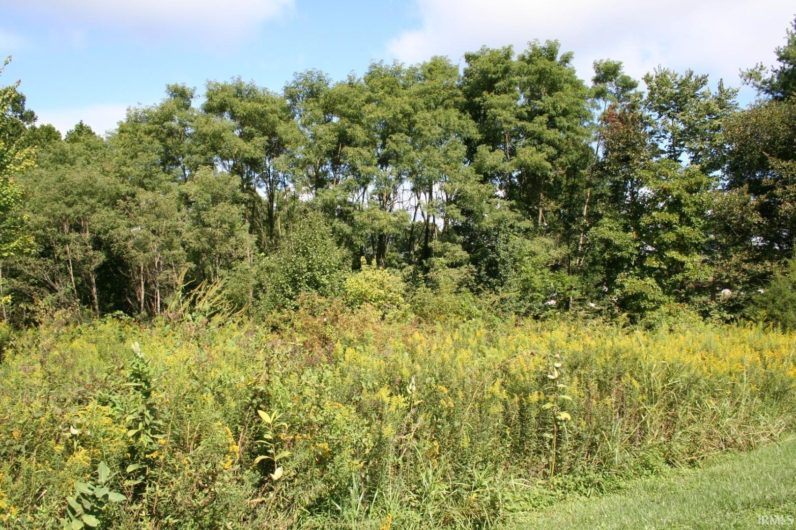 0 Ritter Woods Lane Spencer, IN 47460 - Photo 5 of 17 Gallery Image 5