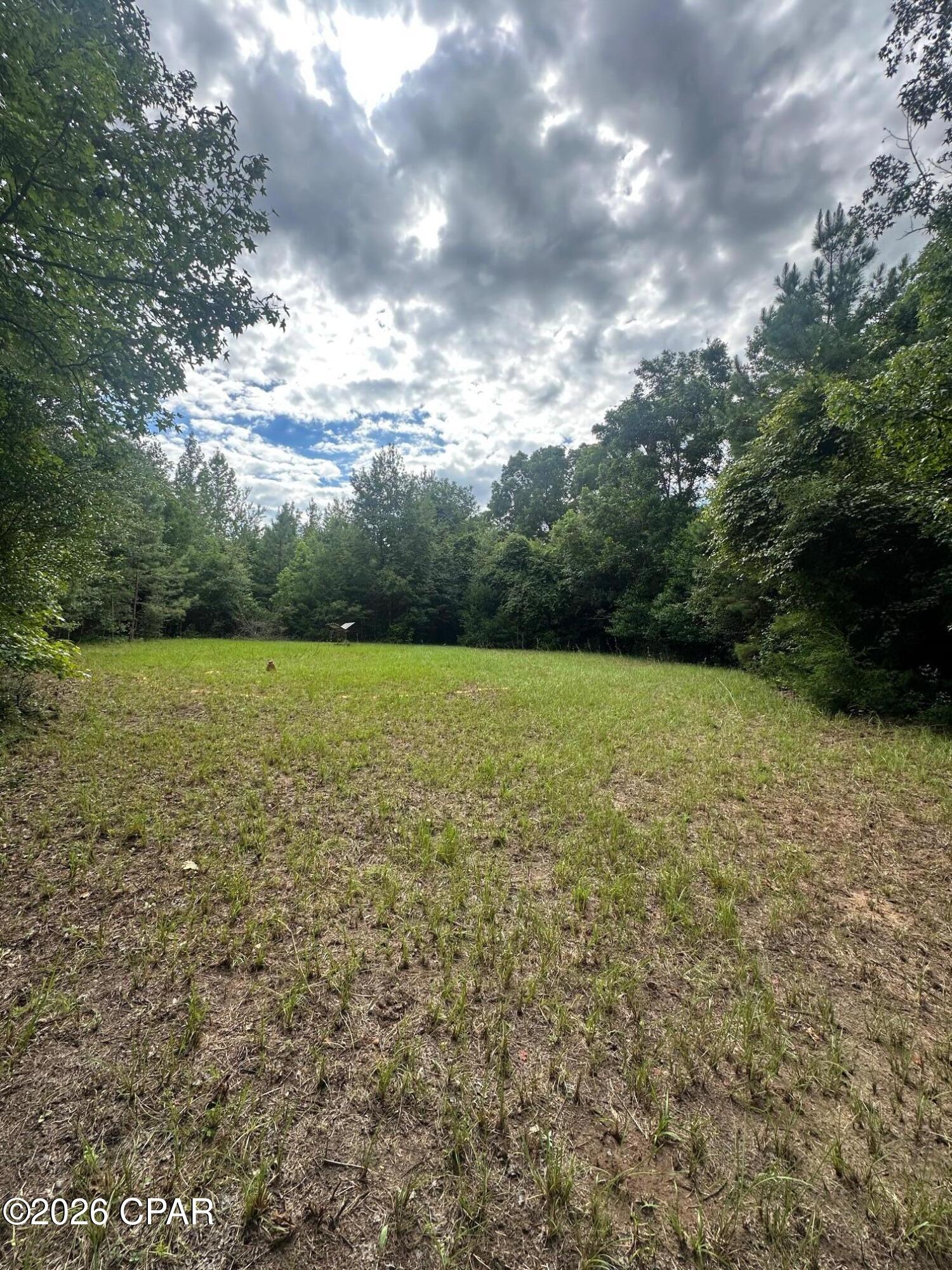 0 Poplar Springs Road Marianna, FL 32446 - Photo 13 of 16 Gallery Image 13
