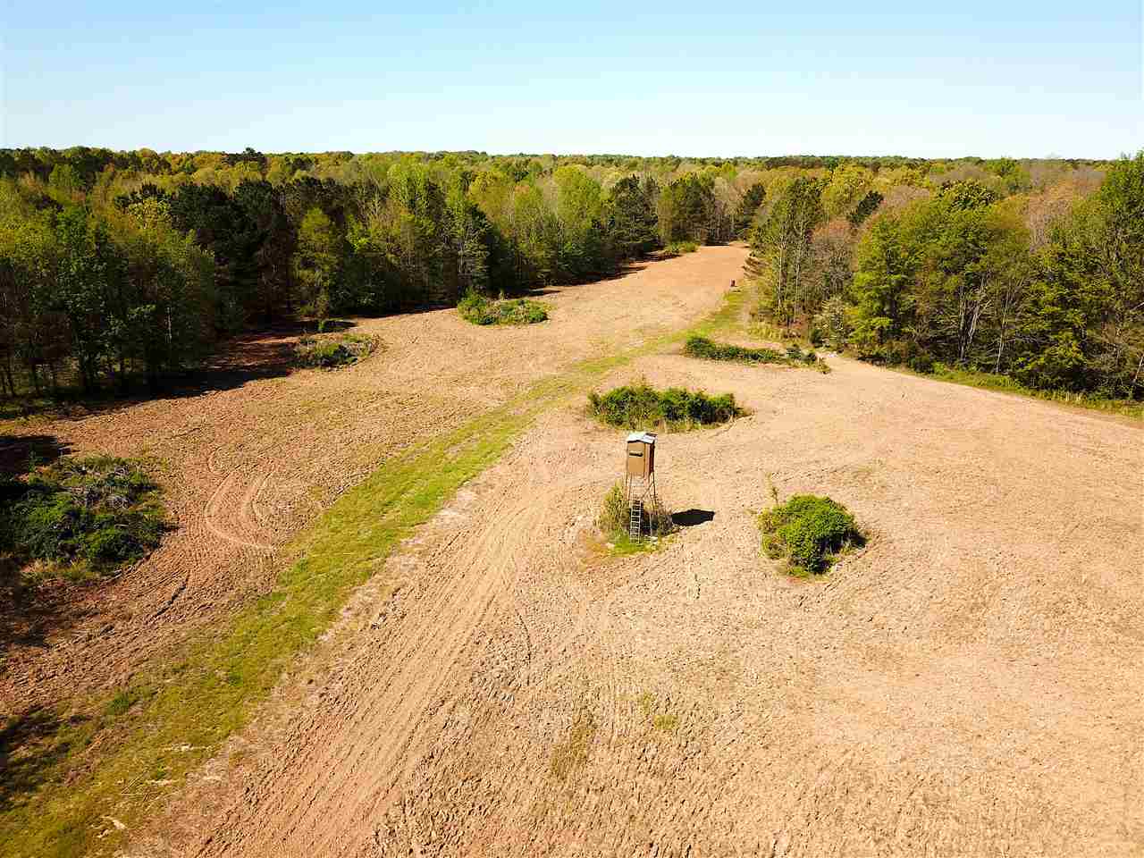 4220 Holder Road Grand Junction, TN 38039 - Photo 1 of 21 Gallery Image 1
