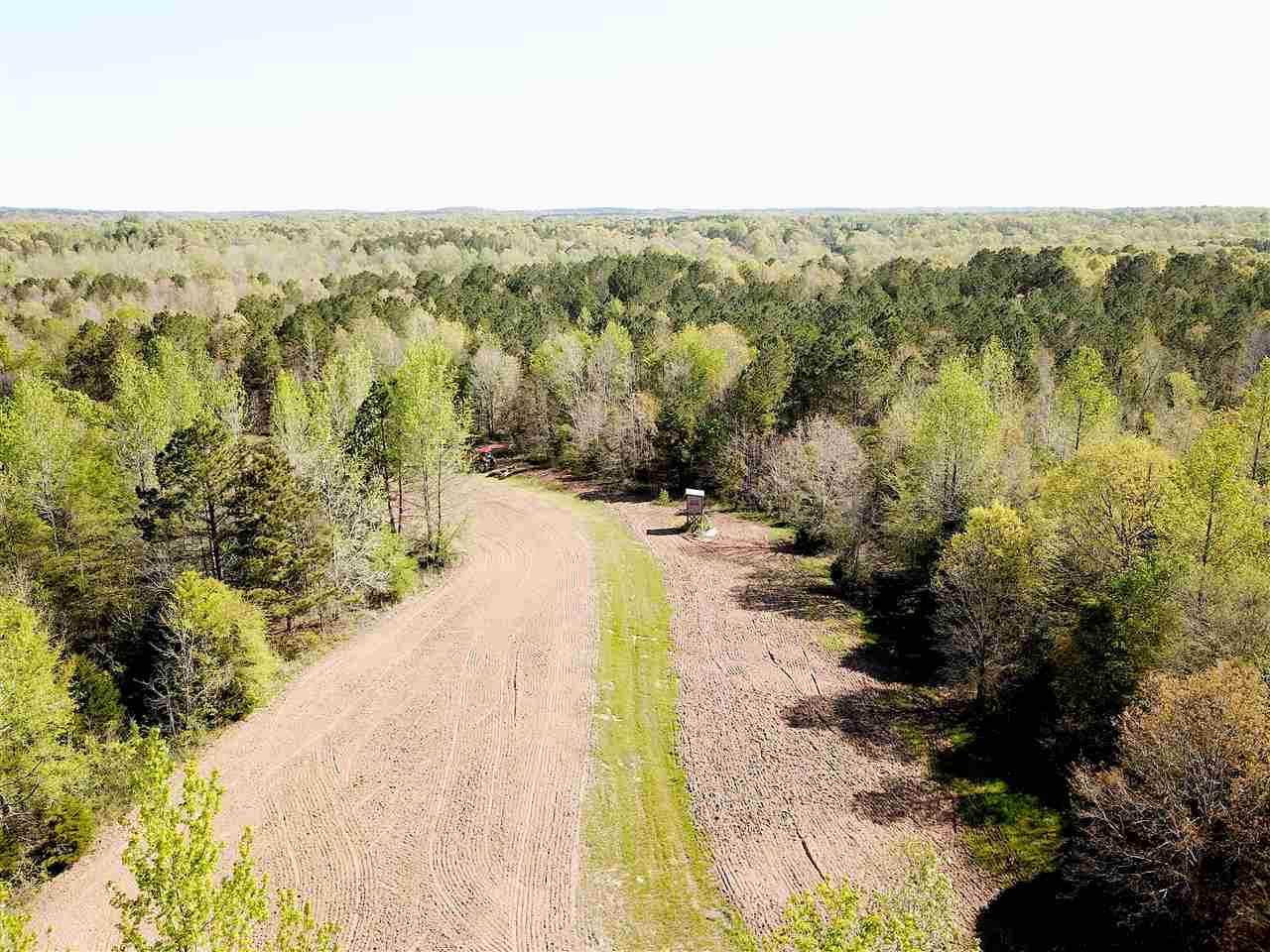4220 Holder Road Grand Junction, TN 38039 - Photo 2 of 21 Gallery Image 2