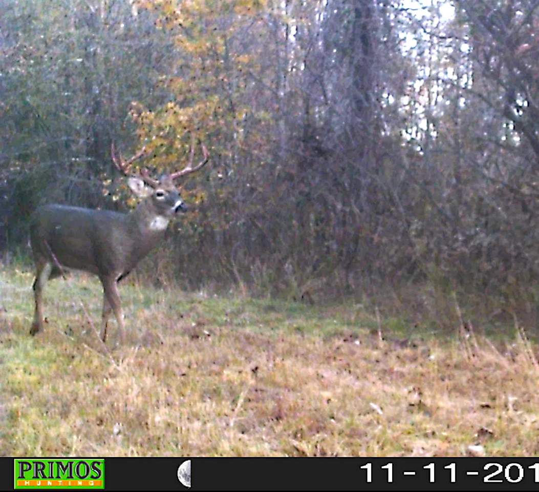 4220 Holder Road Grand Junction, TN 38039 - Photo 12 of 21 Gallery Image 12