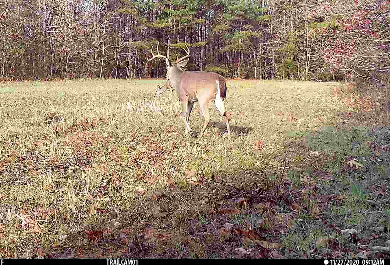 4220 Holder Road Grand Junction, TN 38039 - Photo 13 of 21 Gallery Image 13
