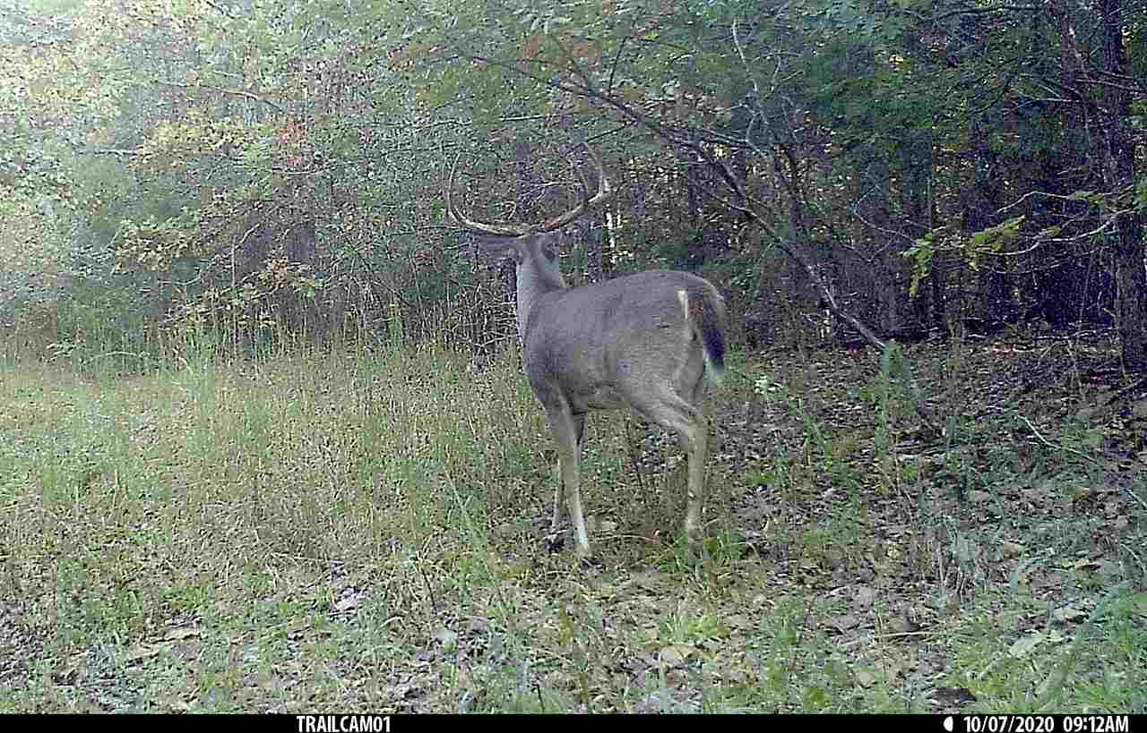 4220 Holder Road Grand Junction, TN 38039 - Photo 14 of 21 Gallery Image 14