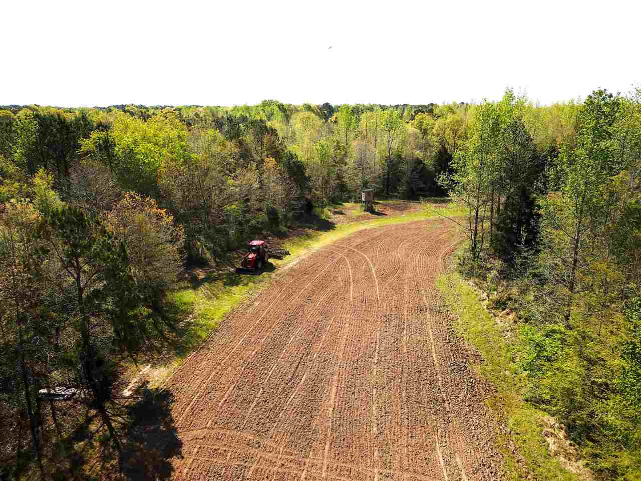 4220 Holder Road Grand Junction, TN 38039 - Photo 15 of 21 Gallery Image 15