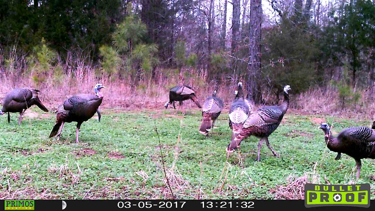 4220 Holder Road Grand Junction, TN 38039 - Photo 7 of 21 Gallery Image 7