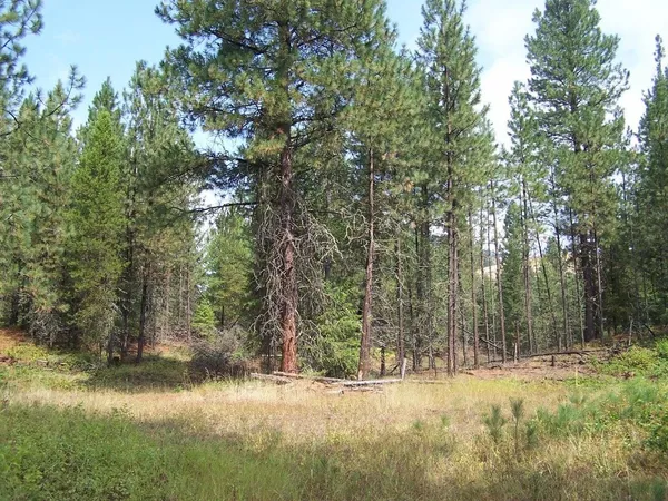 $30,000 | 3-xxx Lot #13 3-xxx Way, Kettle Falls, WA 99141