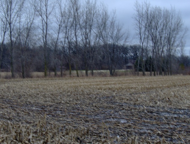 a view of a open space with trees