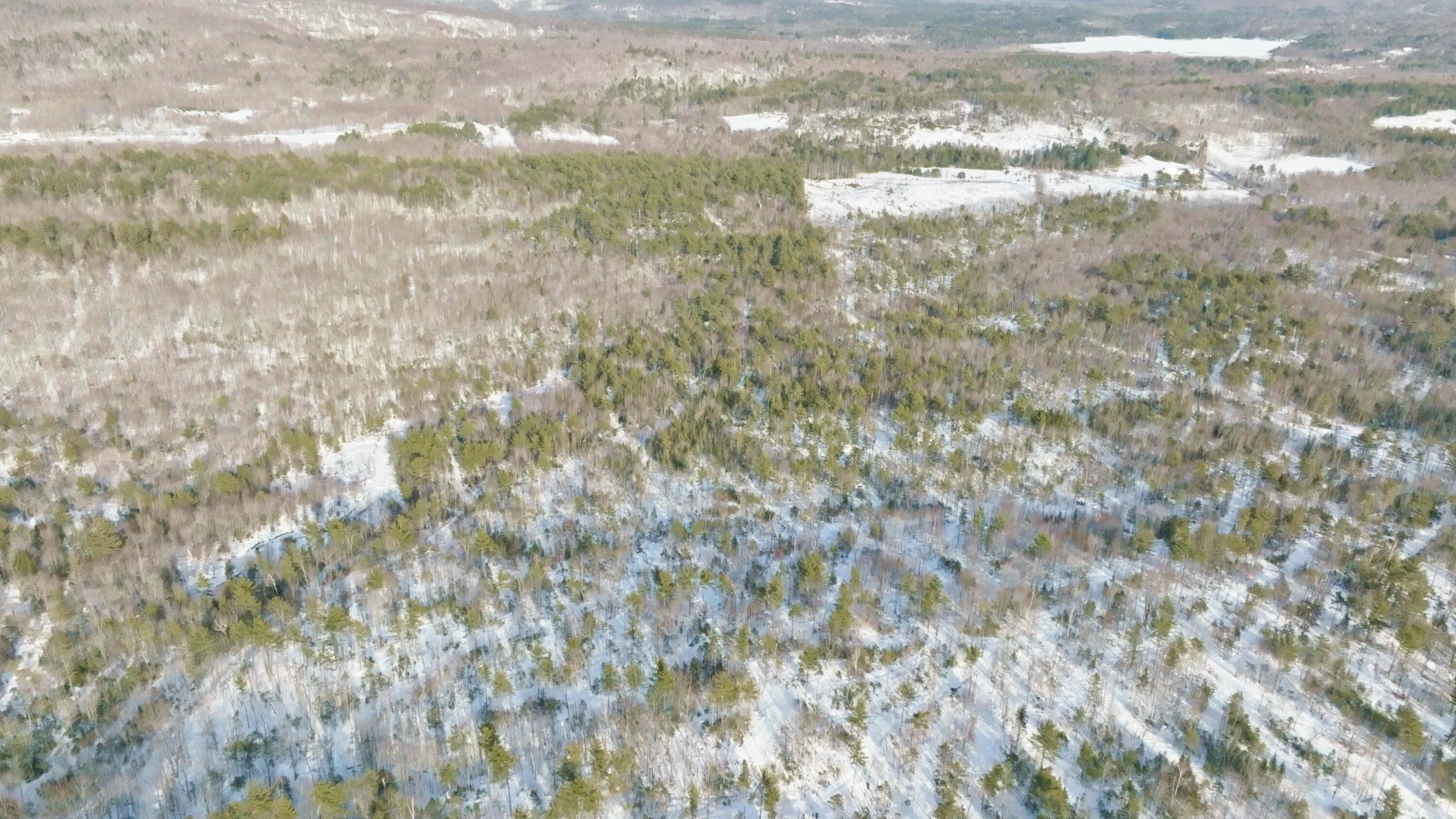 Lot 41 Redding Road Sumner, ME 04292 - Photo 22 of 22 Image_1.16.1