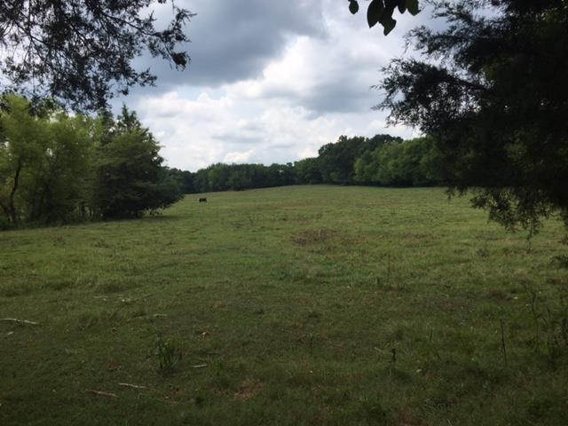 401 Hopkins Bridge Road Unionville, TN 37180 - Photo 2 of 3 Gallery Image 2