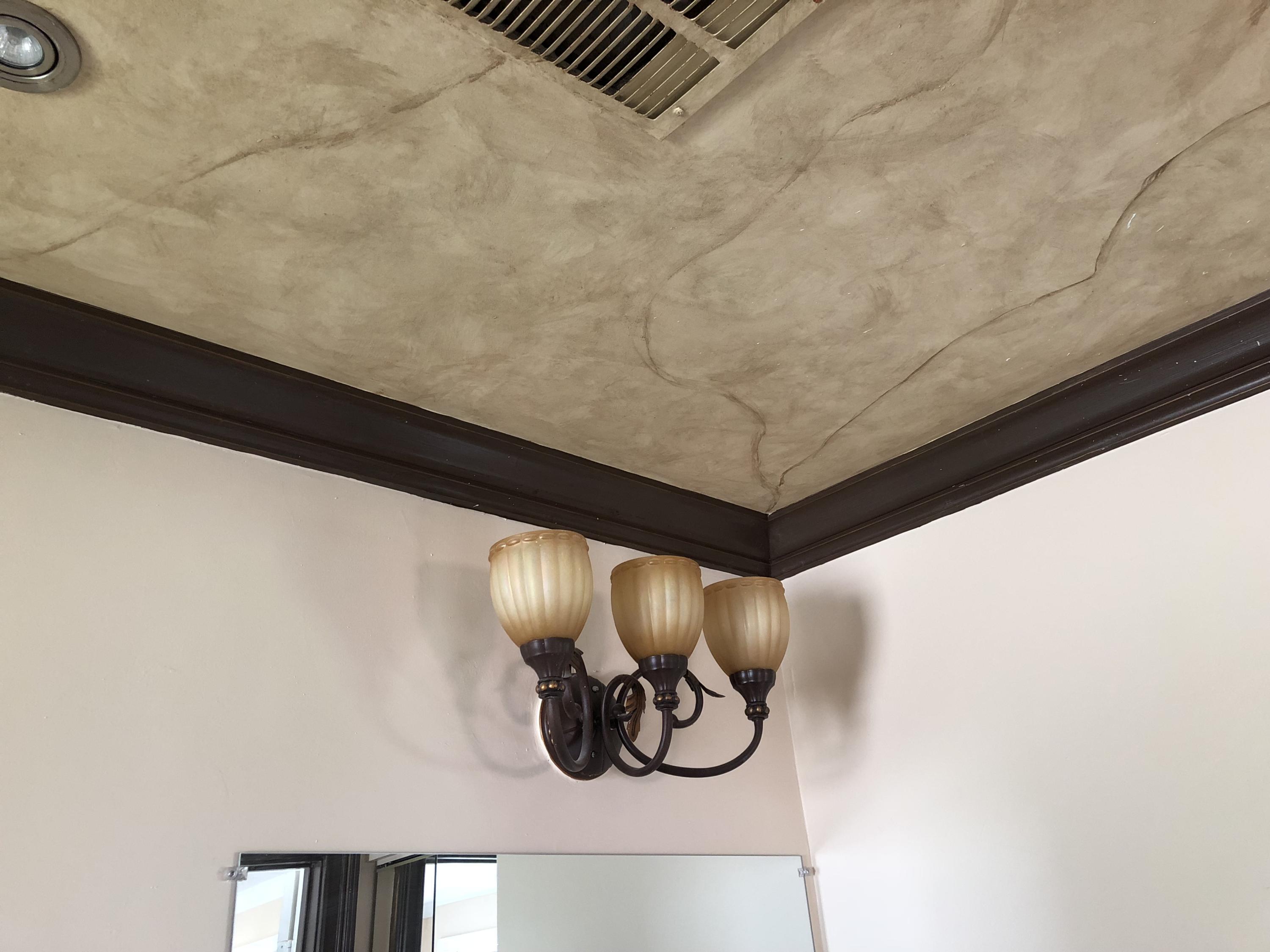 2731 Cambridge Road Lake Worth, FL 33462 - Photo 25 of 42 painted ceiling mural