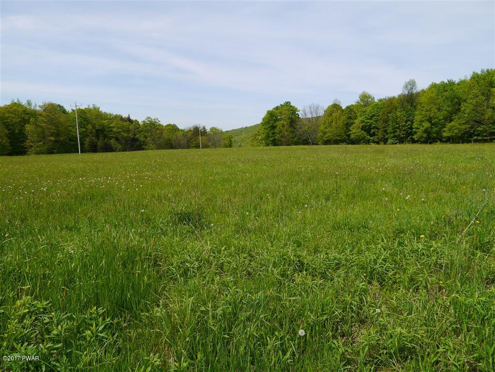 1252 Scott Center Road Susquehanna, PA 18847 - Photo 30 of 34 Fields