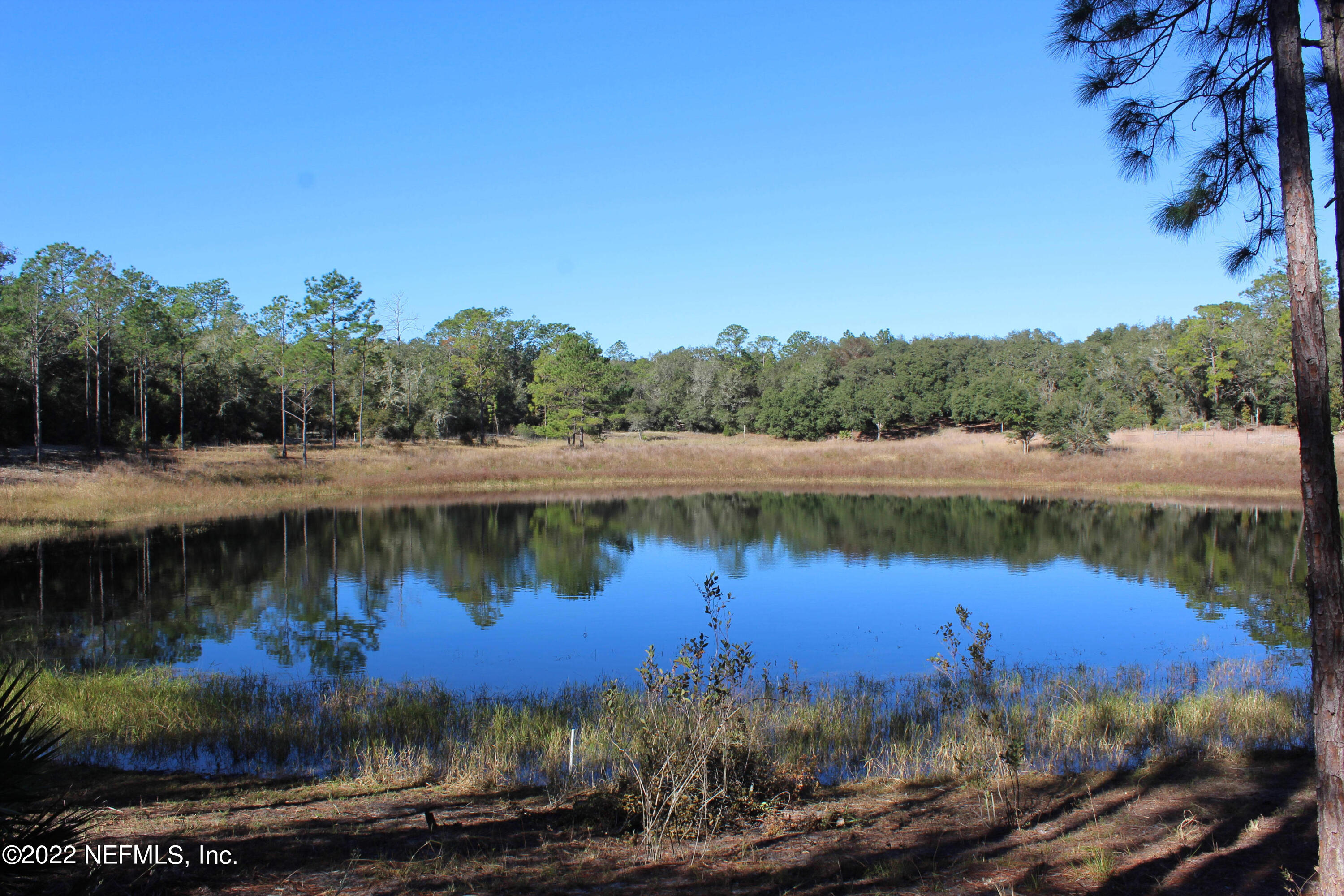 4546 Alan Lake Road Keystone Heights, FL 32656 - Photo 17 of 20 17-fm9rXYocRgue1vbIautk_IMG_3307