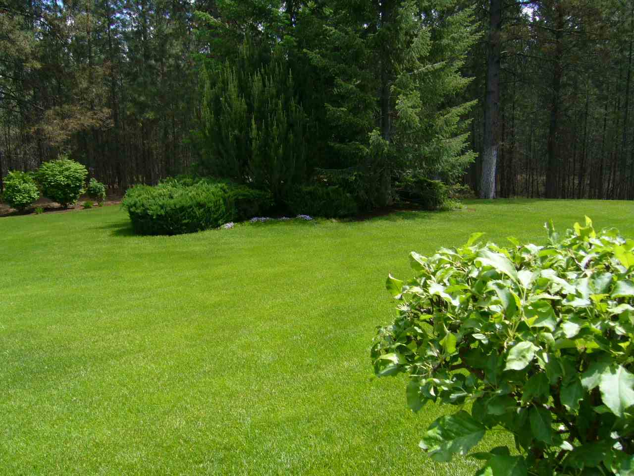 15520 North Howe Road Mead, WA 99021 - Photo 19 of 20