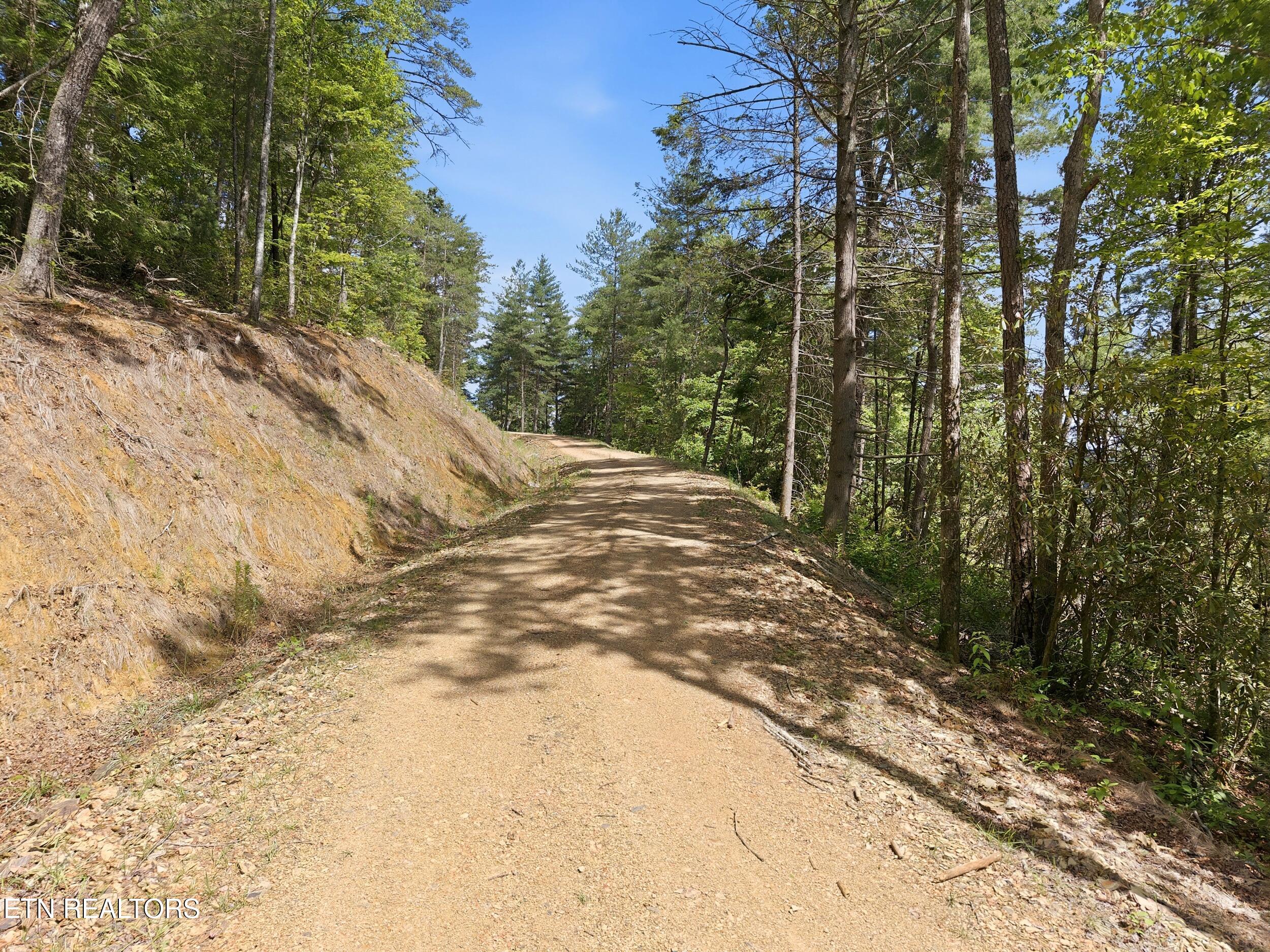 909 The Loop Road Walland, TN 37886 - Photo 25 of 32 22_909_the_loop_rd_0020