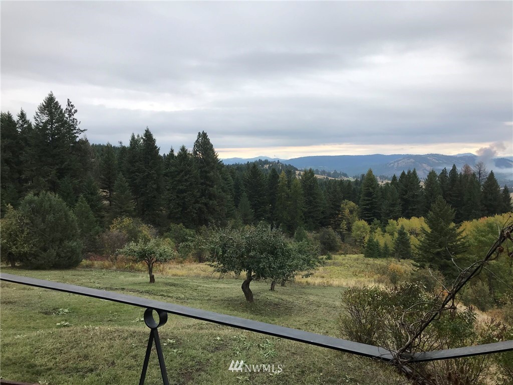 350 Rose Valley Road Republic, WA 99166 - Photo 22 of 28 Gallery Image 22