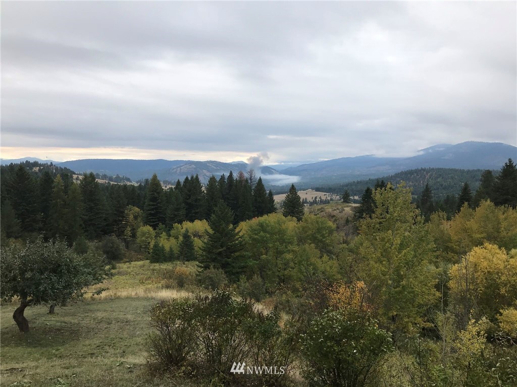 350 Rose Valley Road Republic, WA 99166 - Photo 25 of 28 Gallery Image 25