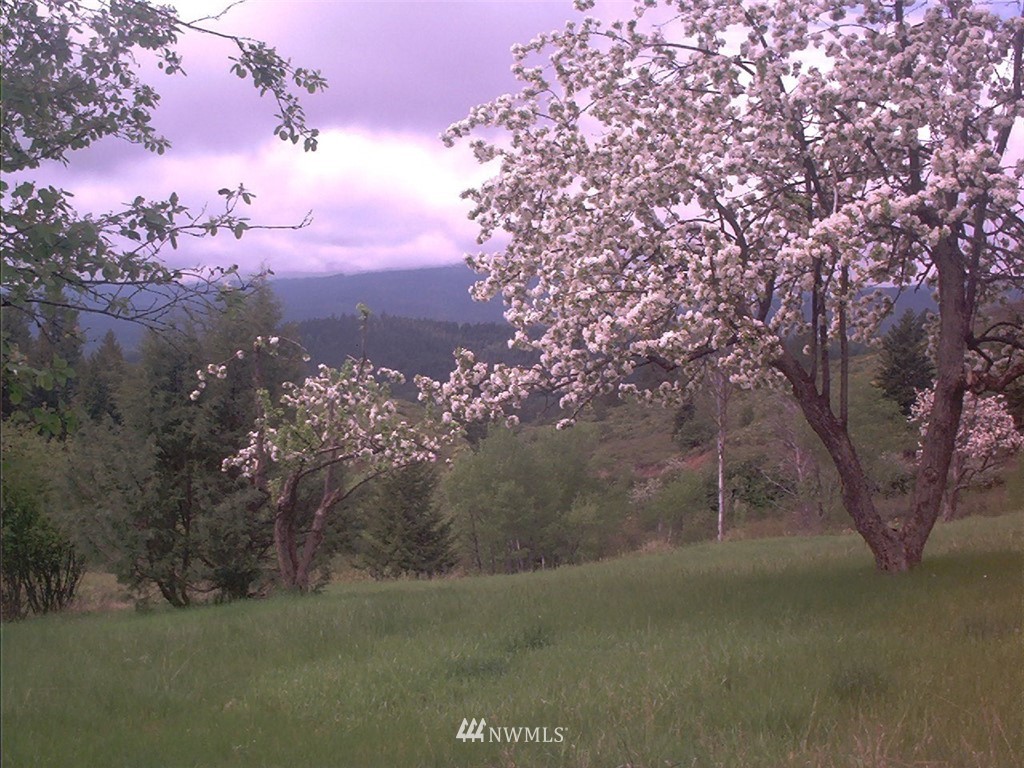 350 Rose Valley Road Republic, WA 99166 - Photo 27 of 28 Gallery Image 27