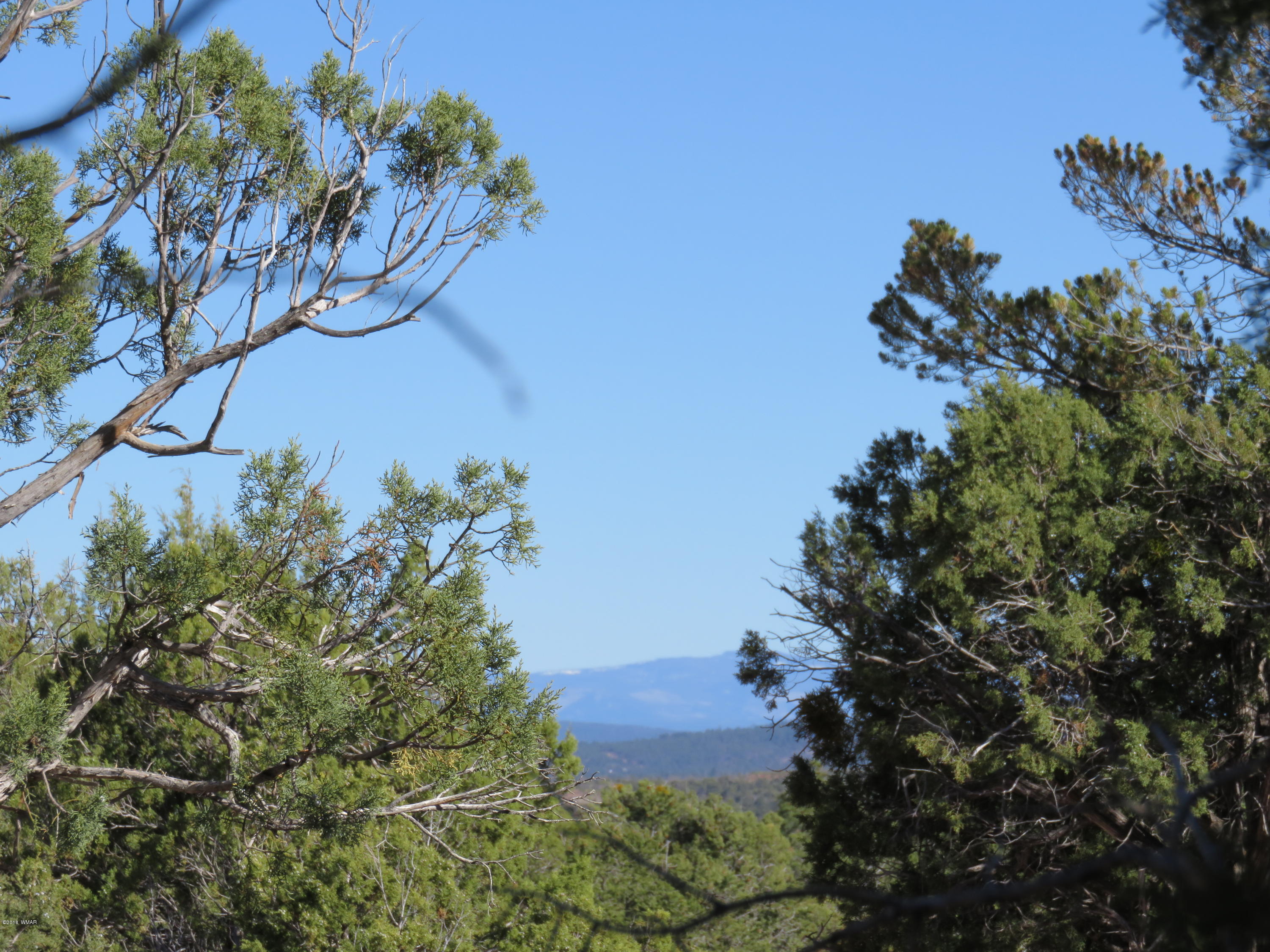 1 Timber Ranch Road Show Low, AZ 85901 - Photo 1 of 34 Gallery Image 1