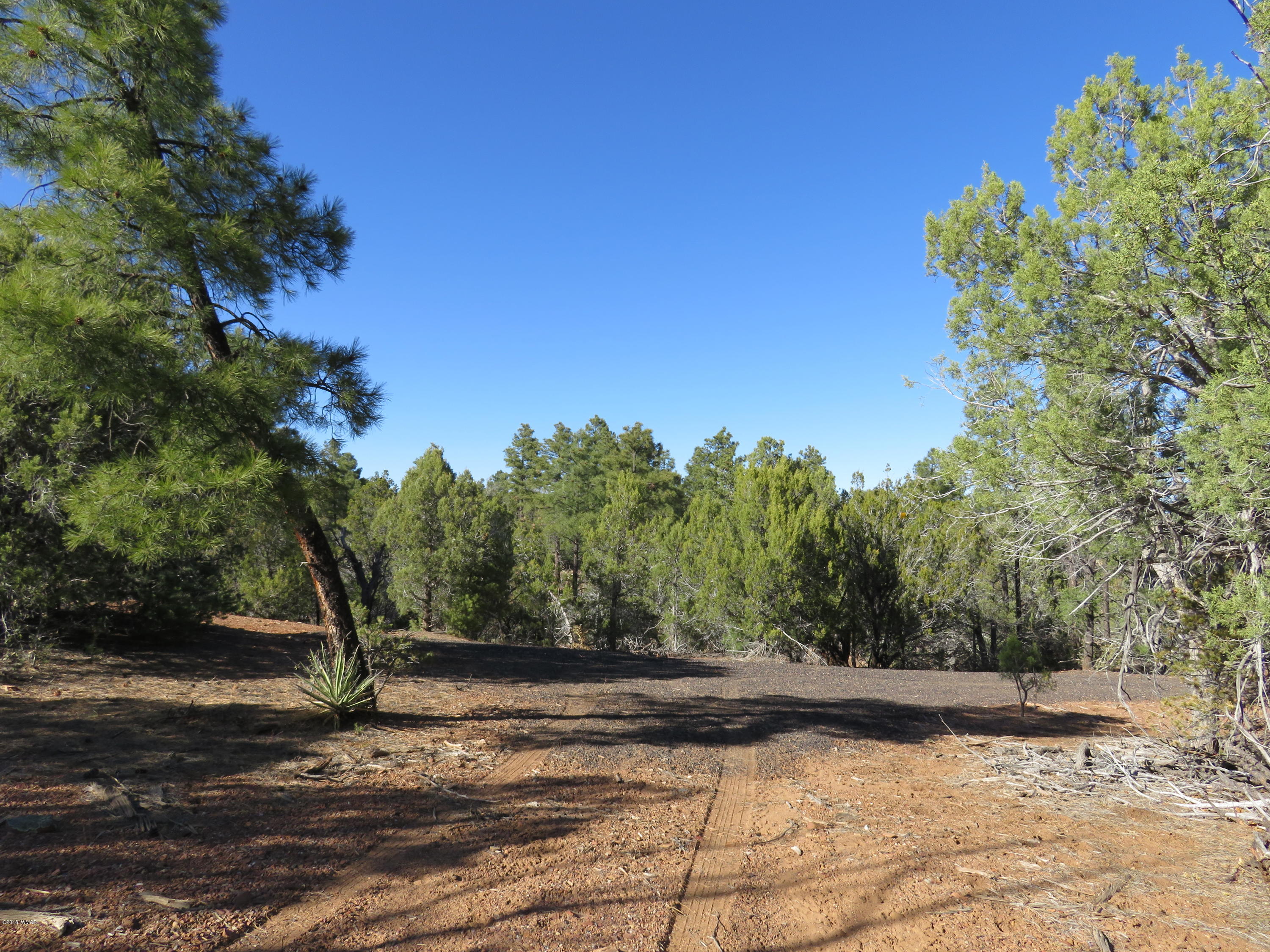1 Timber Ranch Road Show Low, AZ 85901 - Photo 19 of 34 Gallery Image 19