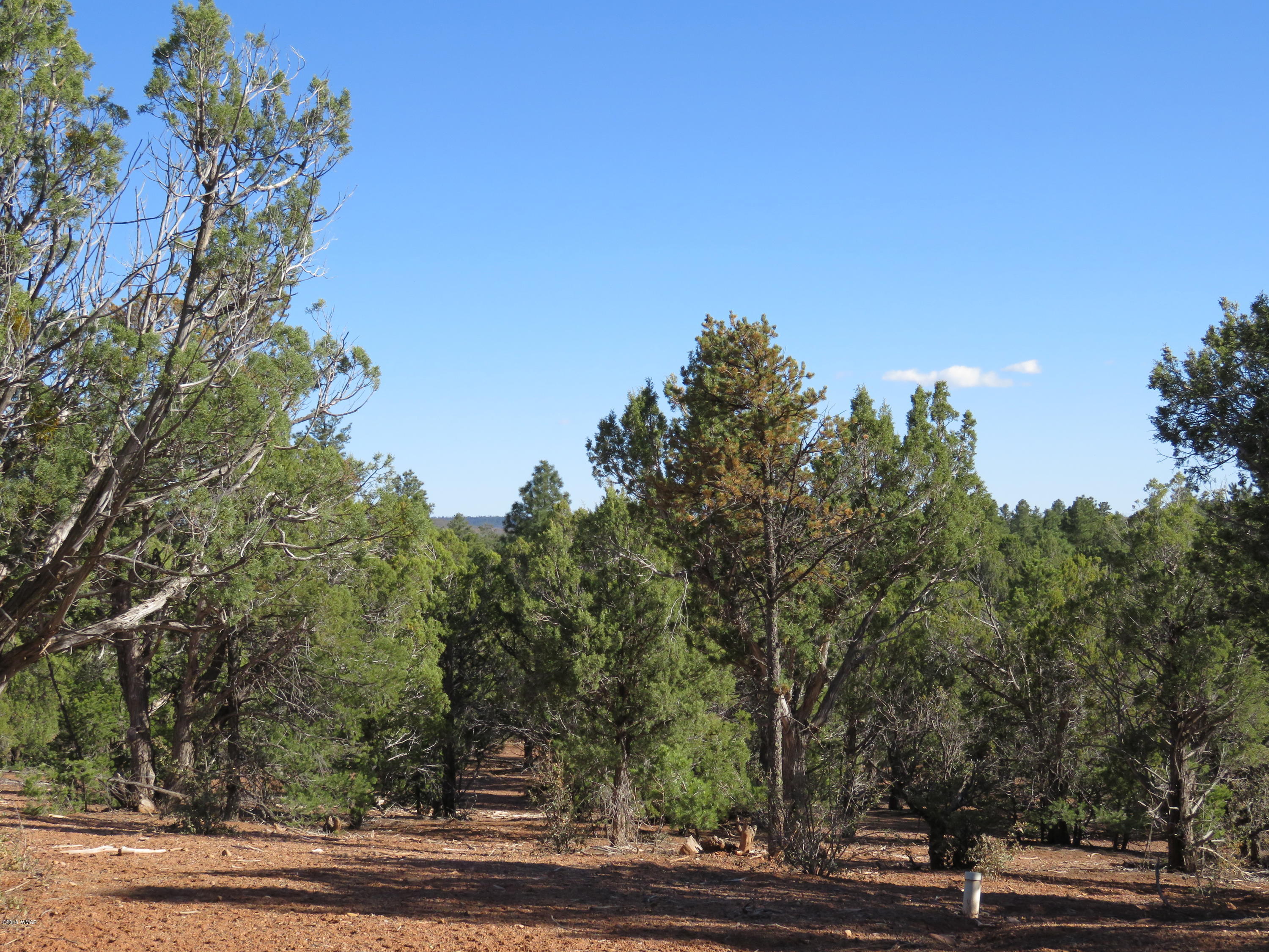 1 Timber Ranch Road Show Low, AZ 85901 - Photo 23 of 34 Gallery Image 23