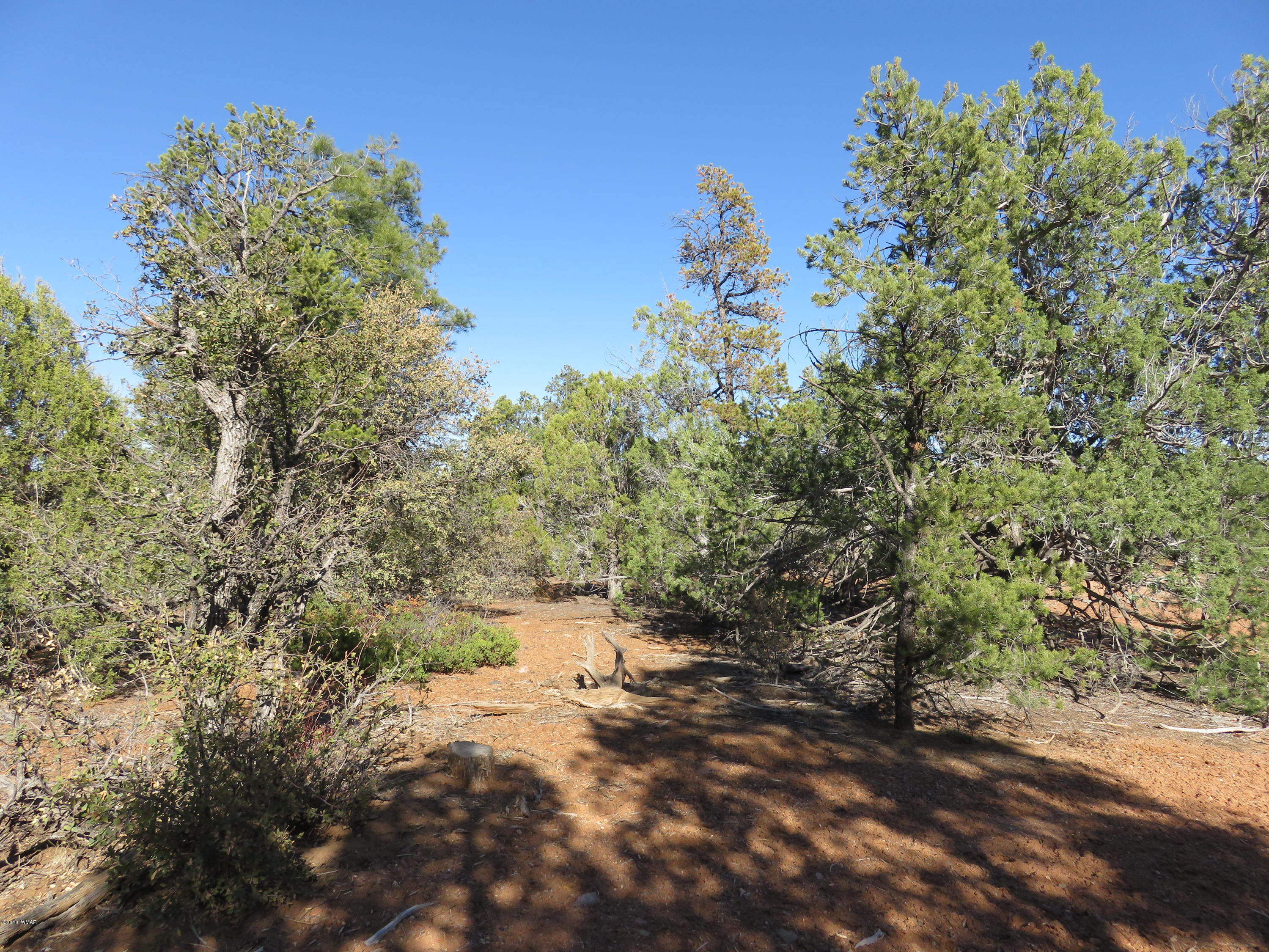 1 Timber Ranch Road Show Low, AZ 85901 - Photo 25 of 34 Gallery Image 25