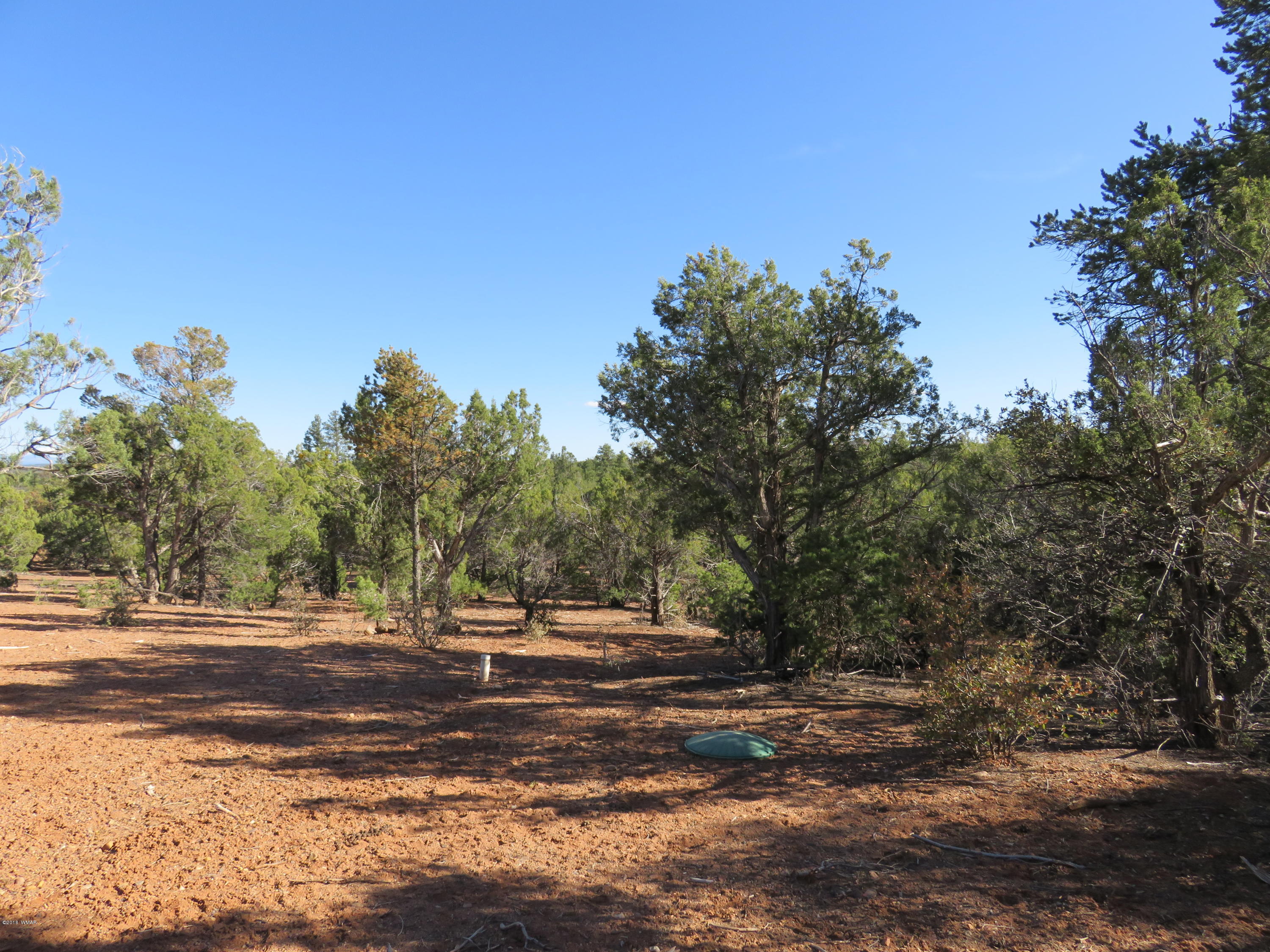 1 Timber Ranch Road Show Low, AZ 85901 - Photo 26 of 34 Gallery Image 26