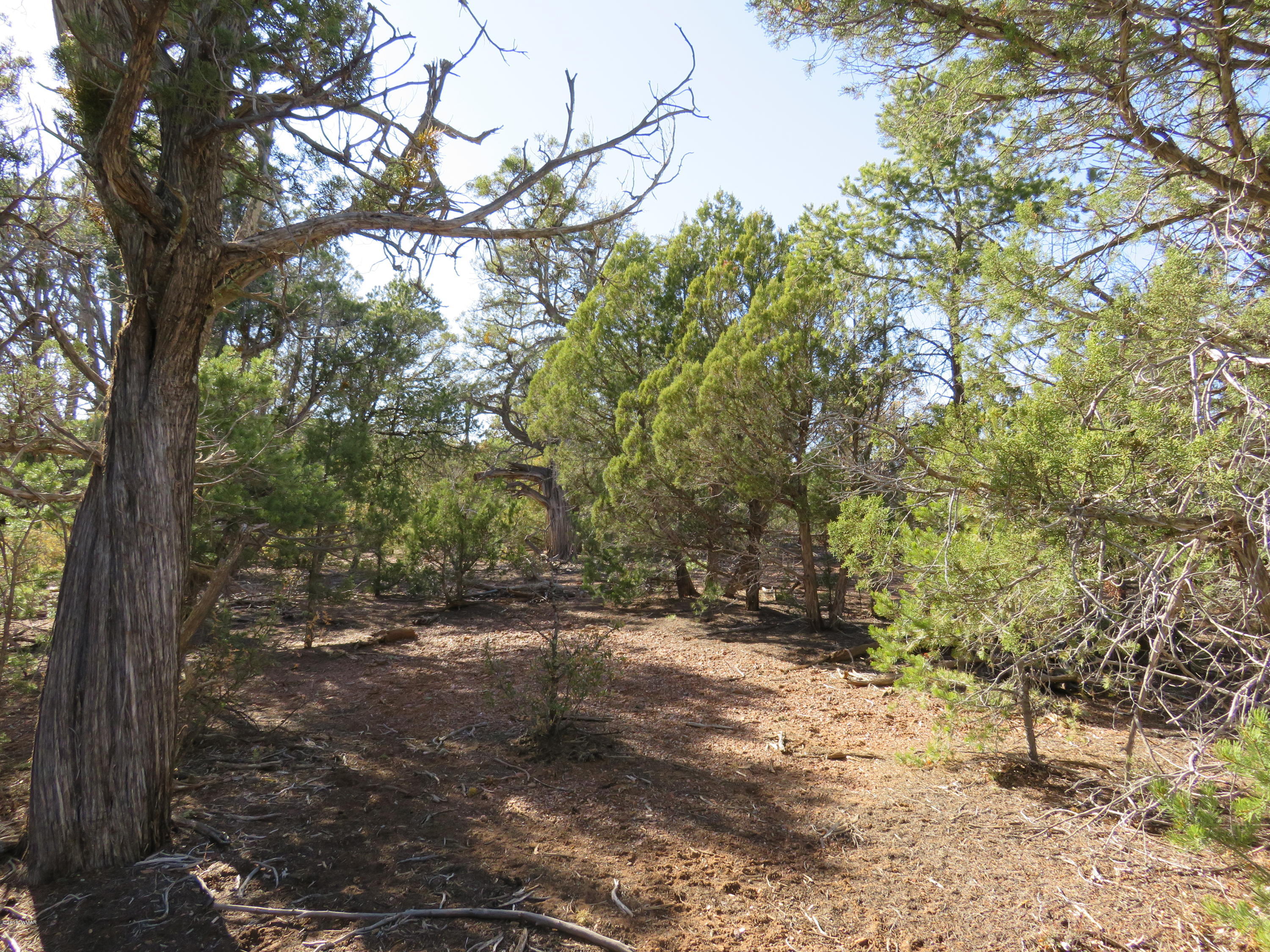 1 Timber Ranch Road Show Low, AZ 85901 - Photo 27 of 34 Gallery Image 27