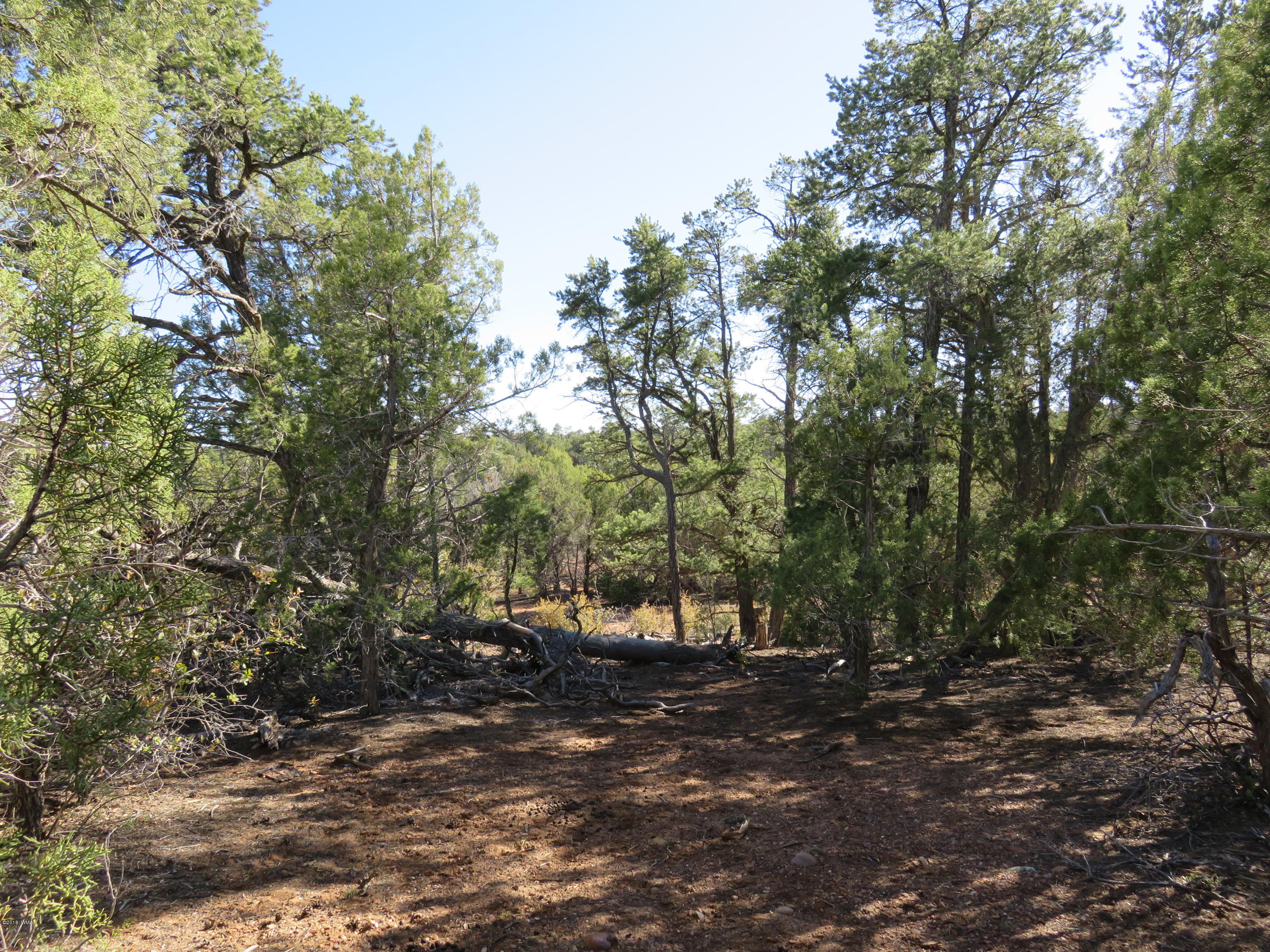 1 Timber Ranch Road Show Low, AZ 85901 - Photo 29 of 34 Gallery Image 29
