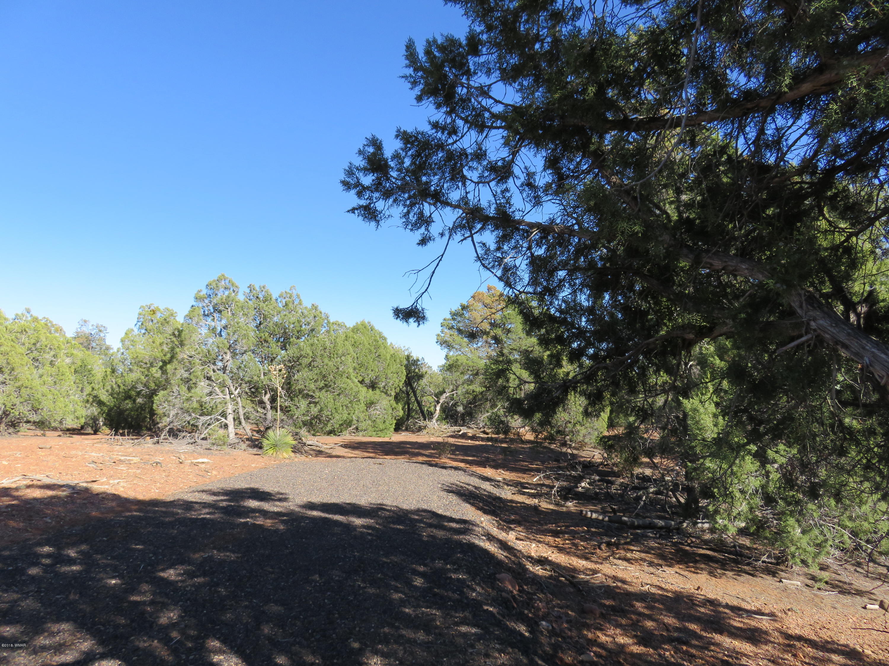 1 Timber Ranch Road Show Low, AZ 85901 - Photo 3 of 34 Gallery Image 3