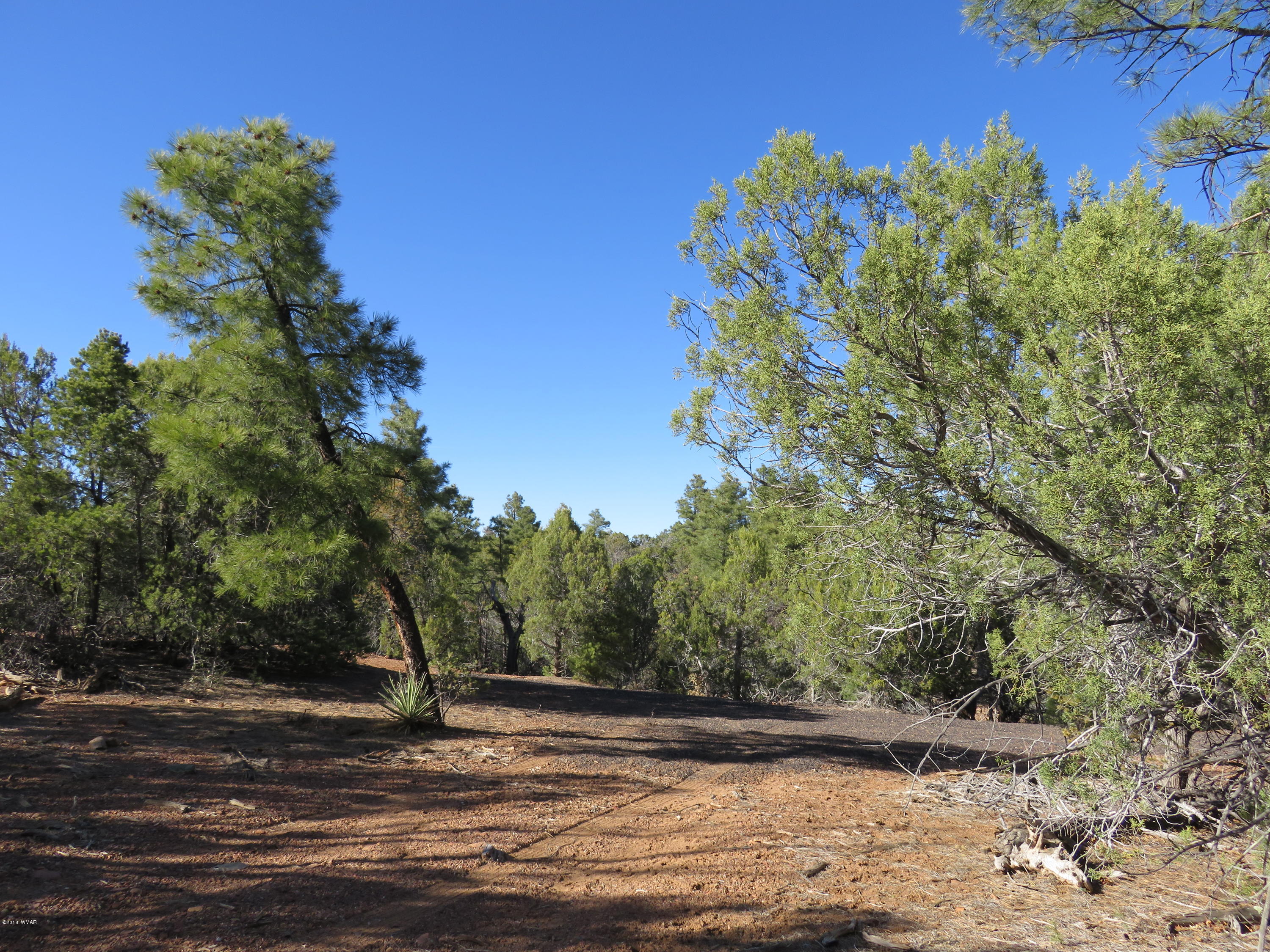 1 Timber Ranch Road Show Low, AZ 85901 - Photo 31 of 34 Gallery Image 31