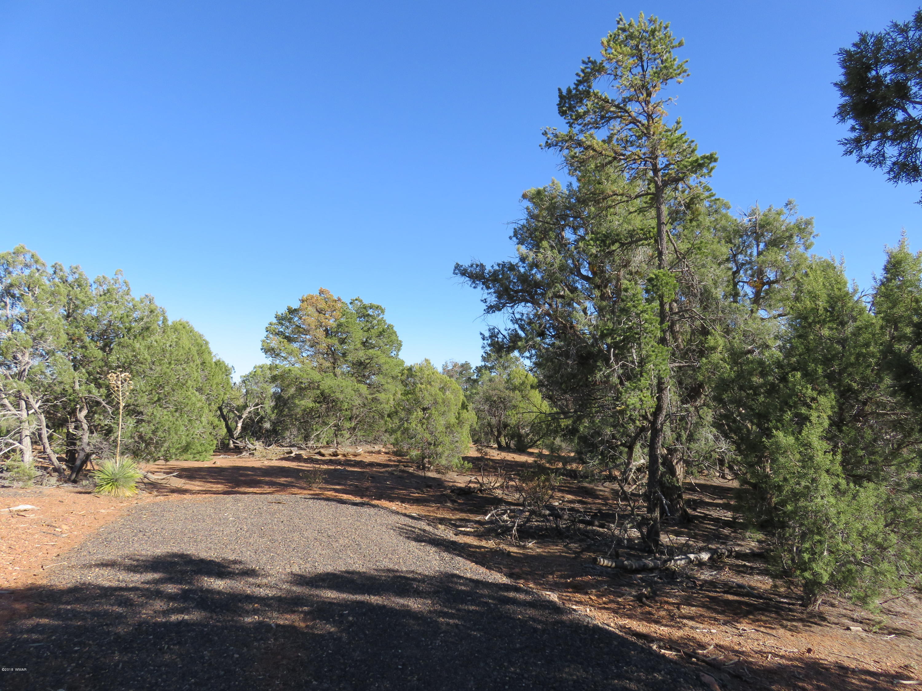 1 Timber Ranch Road Show Low, AZ 85901 - Photo 4 of 34 Gallery Image 4