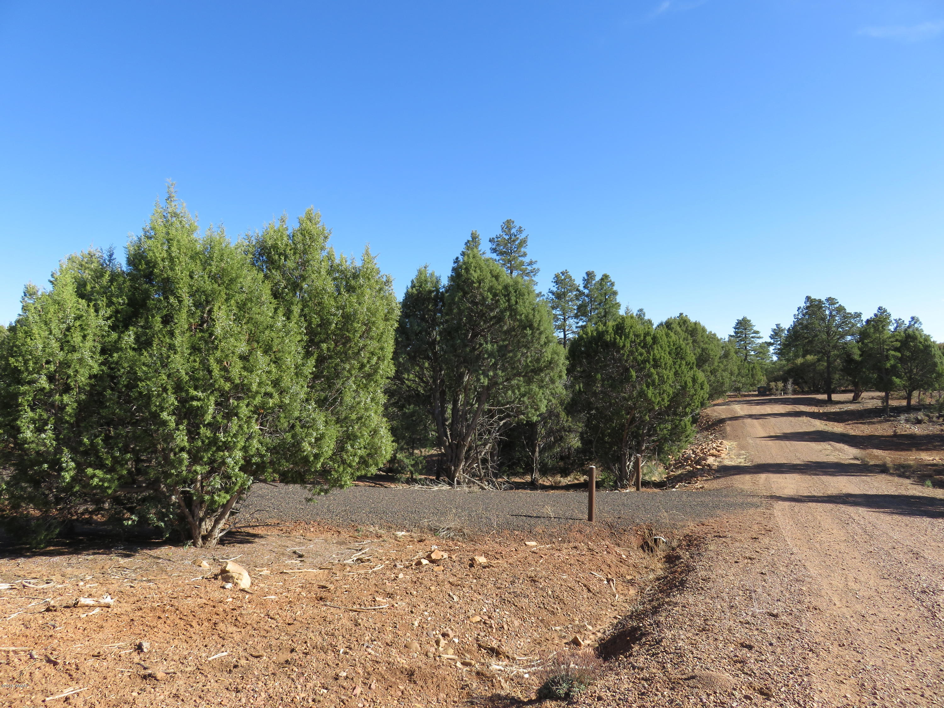 1 Timber Ranch Road Show Low, AZ 85901 - Photo 7 of 34 Gallery Image 7
