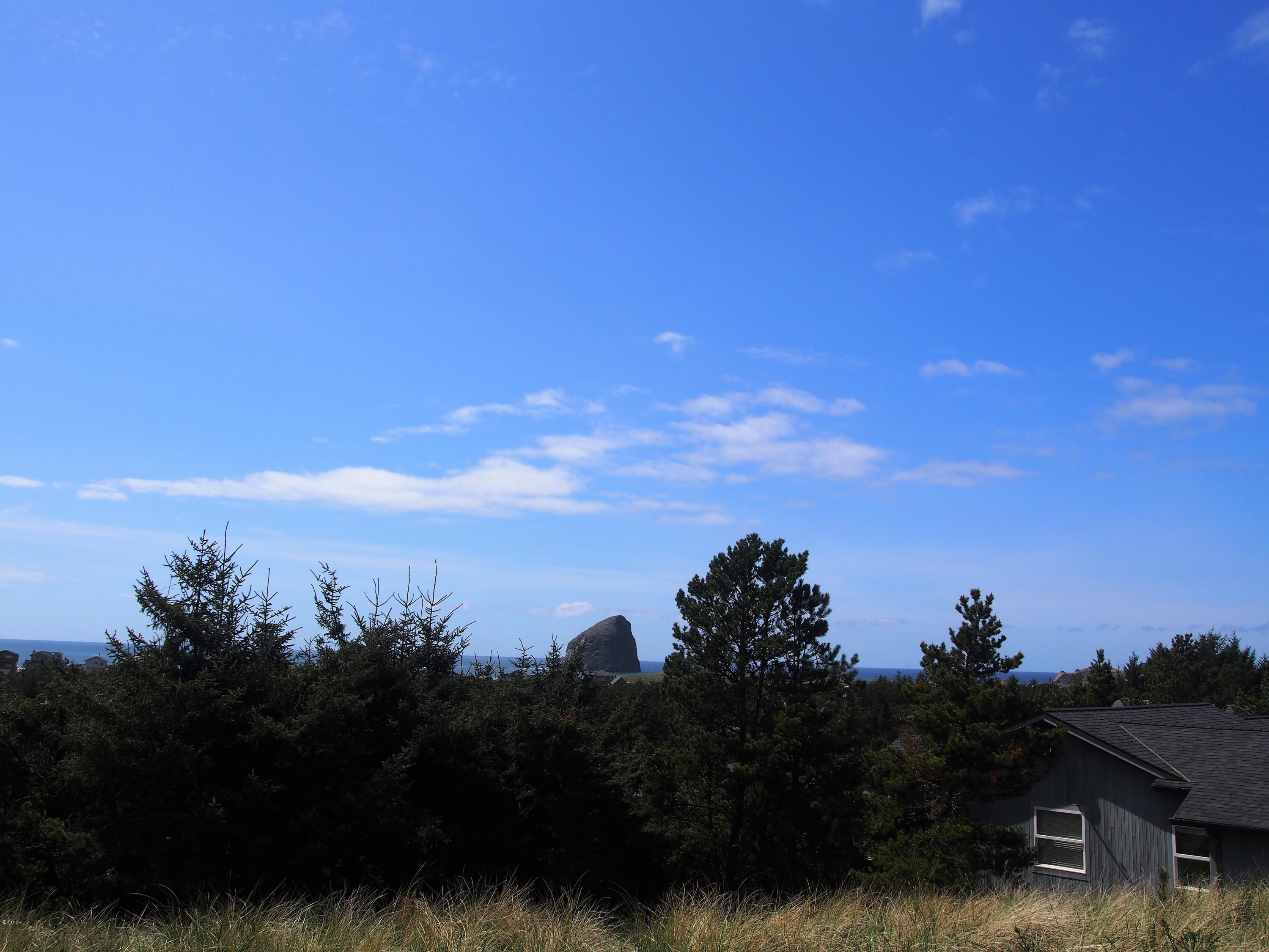 8700 Nestucca Ridge Road Pacific City, OR 97135 - Photo 4 of 4 P1010111