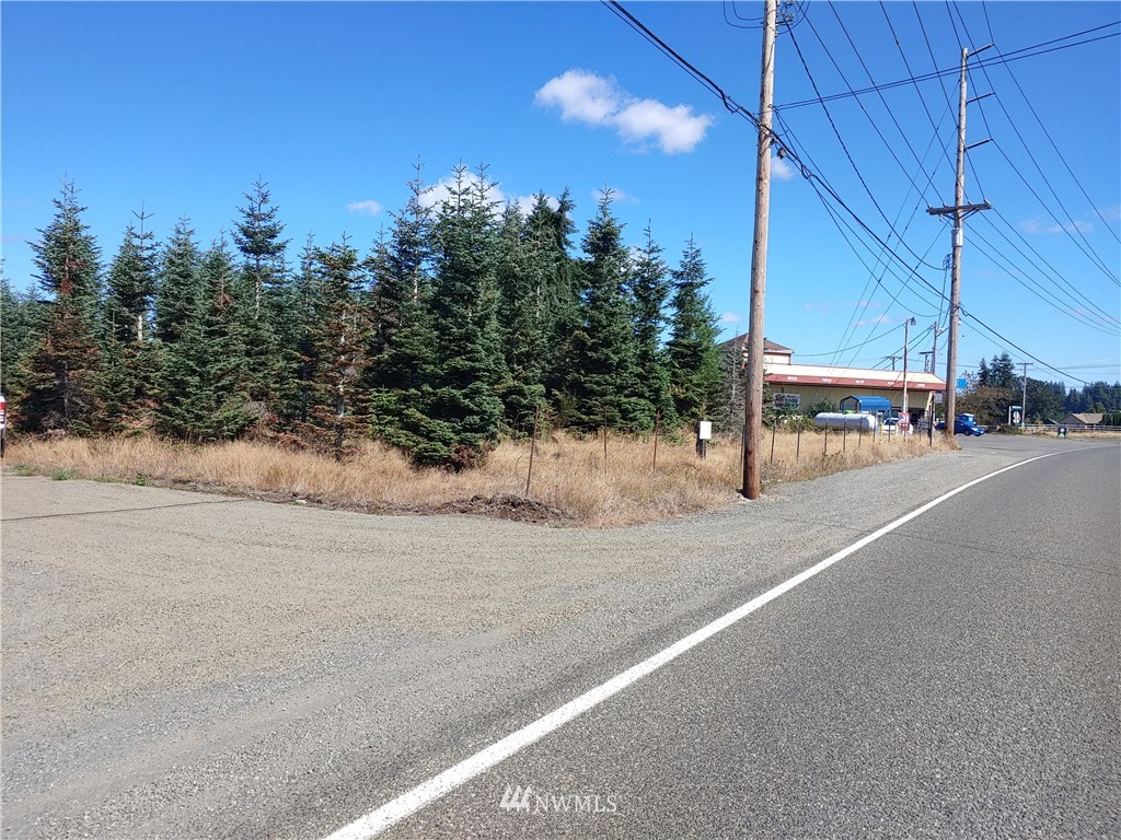 587 Monte Elma Road Montesano, WA 98563 - Photo 2 of 4 Gallery Image 2