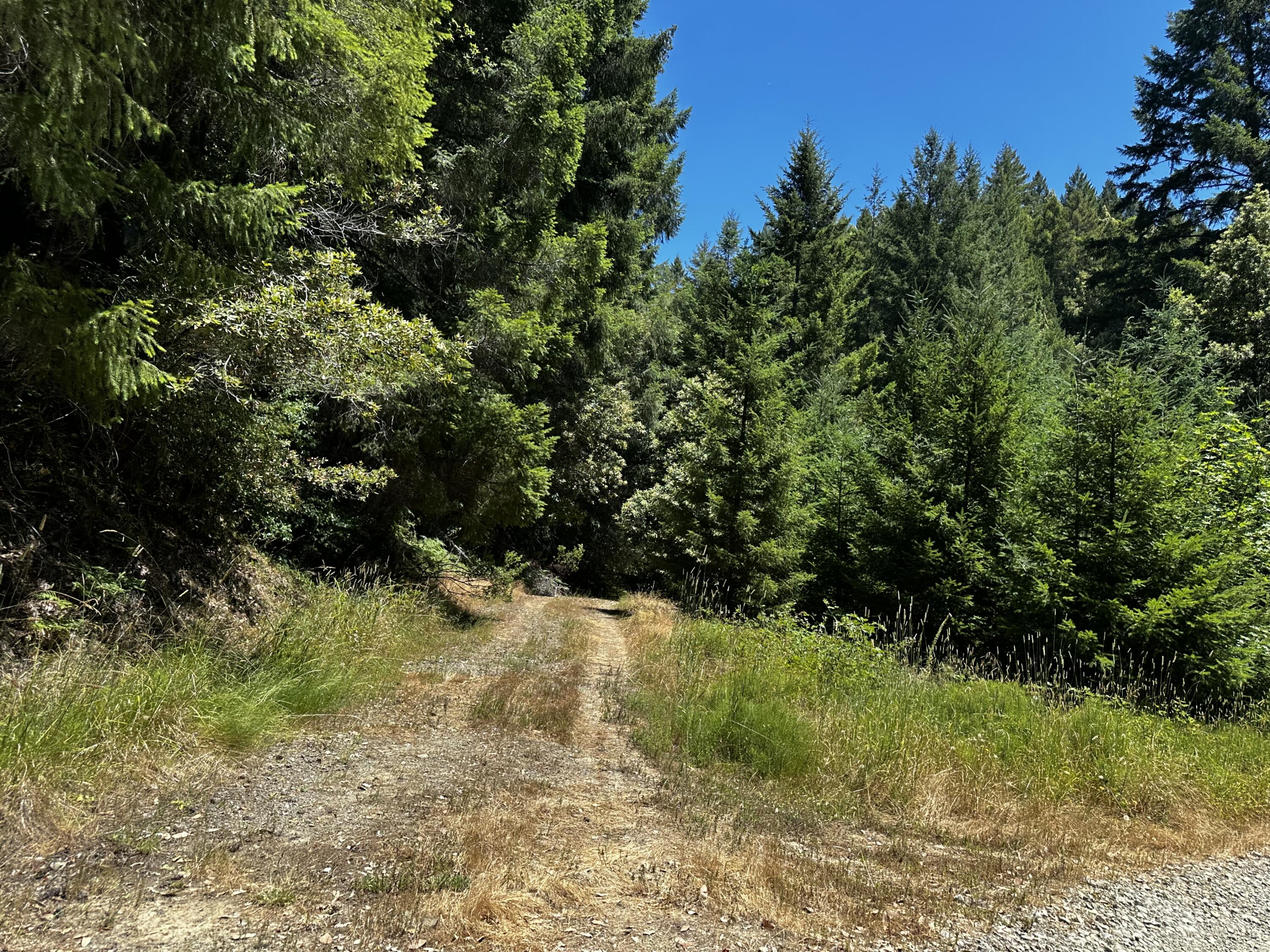 1055 Goodman Ranch Road Garberville, CA 95542 - Photo 59 of 63