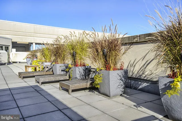 a view of a patio with couches and potted plants