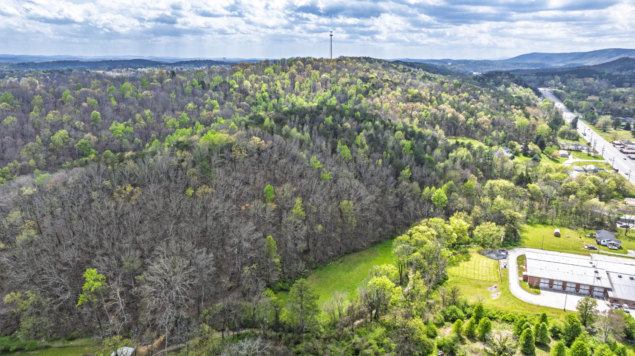 124 Gothard Road Sale Creek, TN 37373 - Photo 2 of 56 a view of a yard with wooden fence