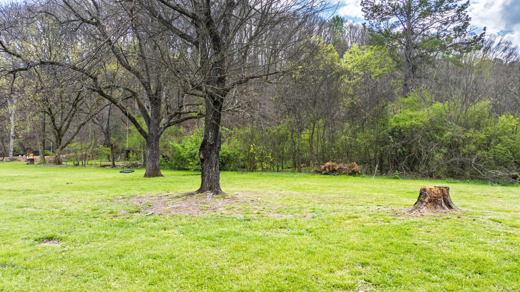 124 Gothard Road Sale Creek, TN 37373 - Photo 29 of 56 a backyard of a house with trees and plants