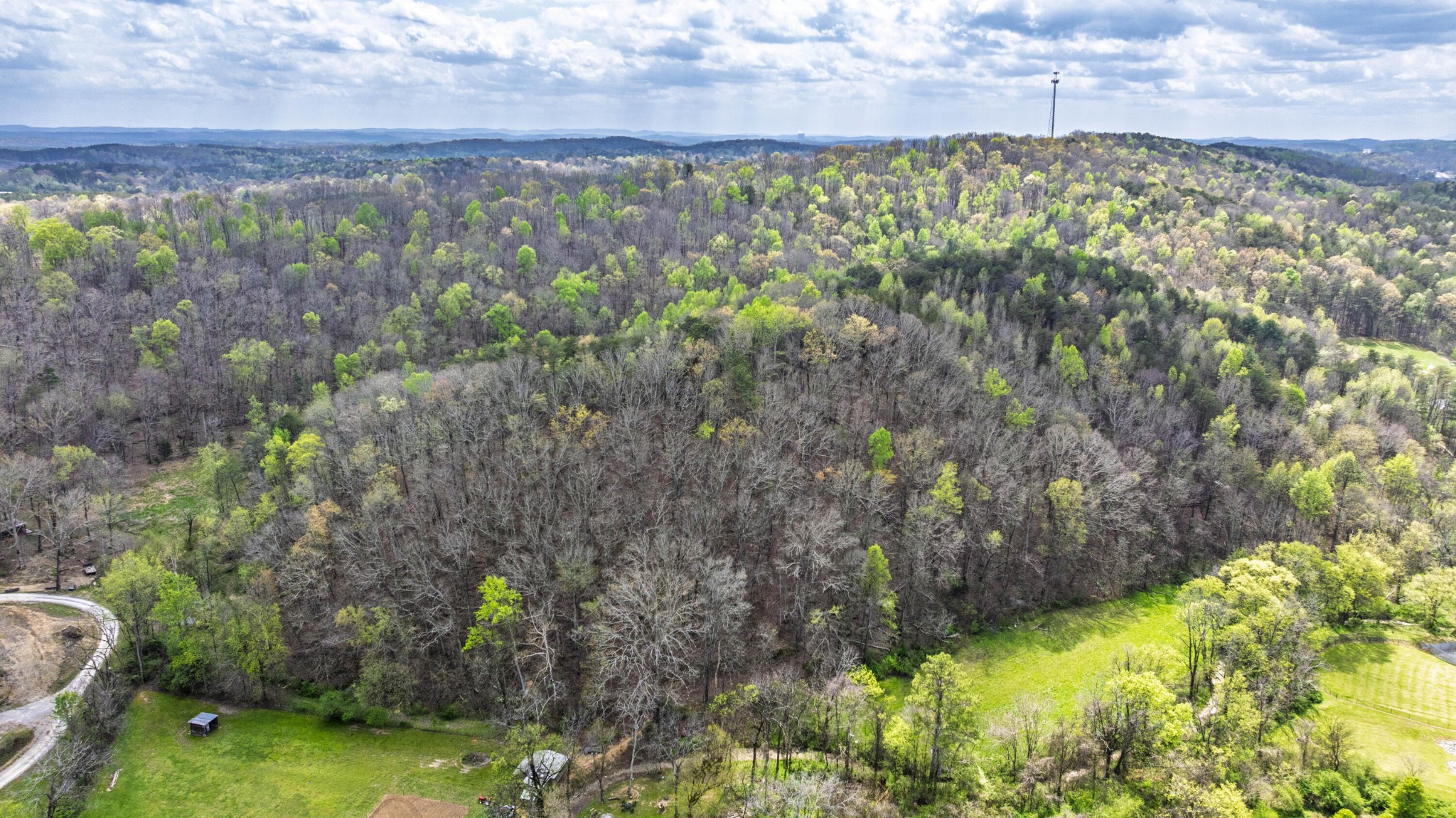 124 Gothard Road Sale Creek, TN 37373 - Photo 35 of 56 a view of a yard with plants