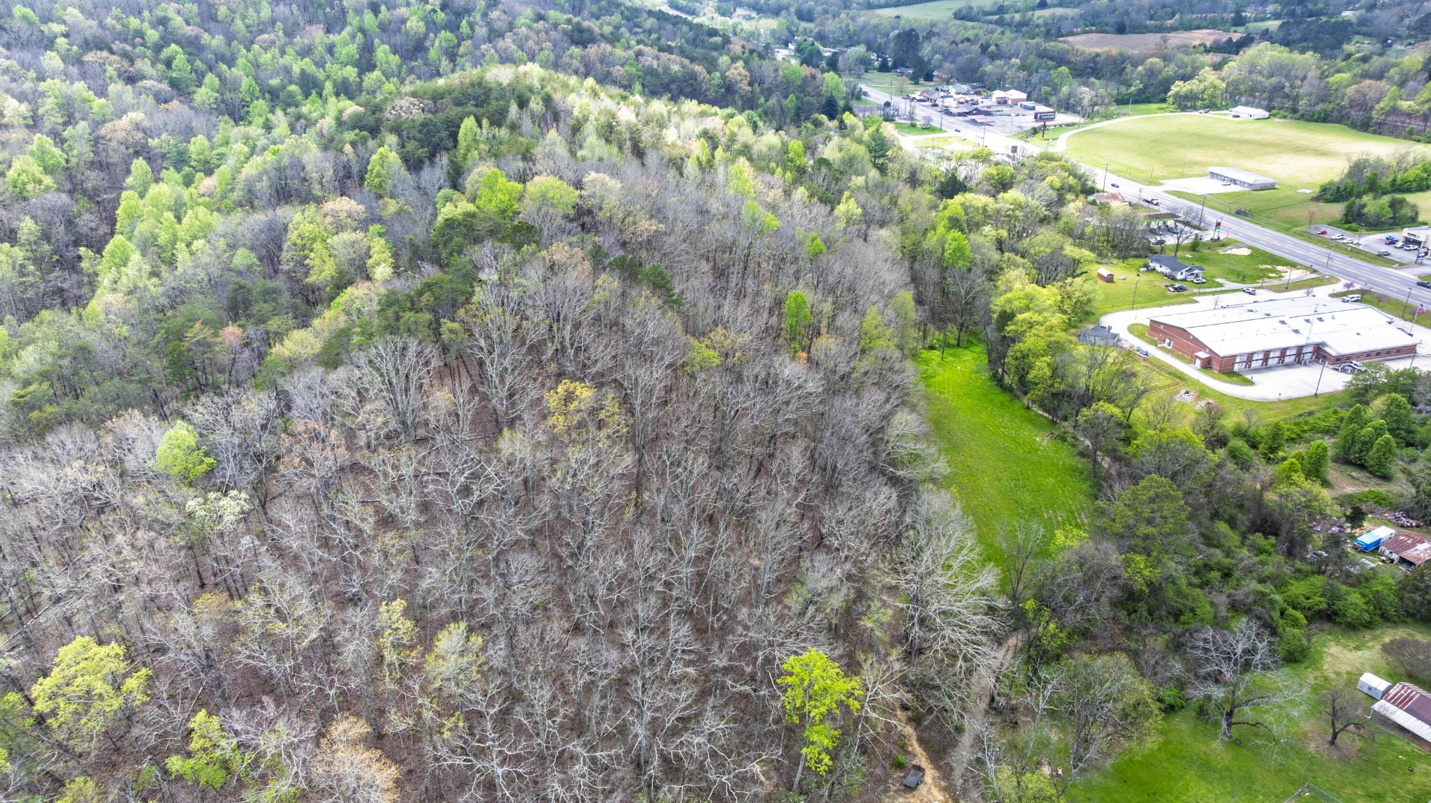 124 Gothard Road Sale Creek, TN 37373 - Photo 40 of 56 a picture of street view