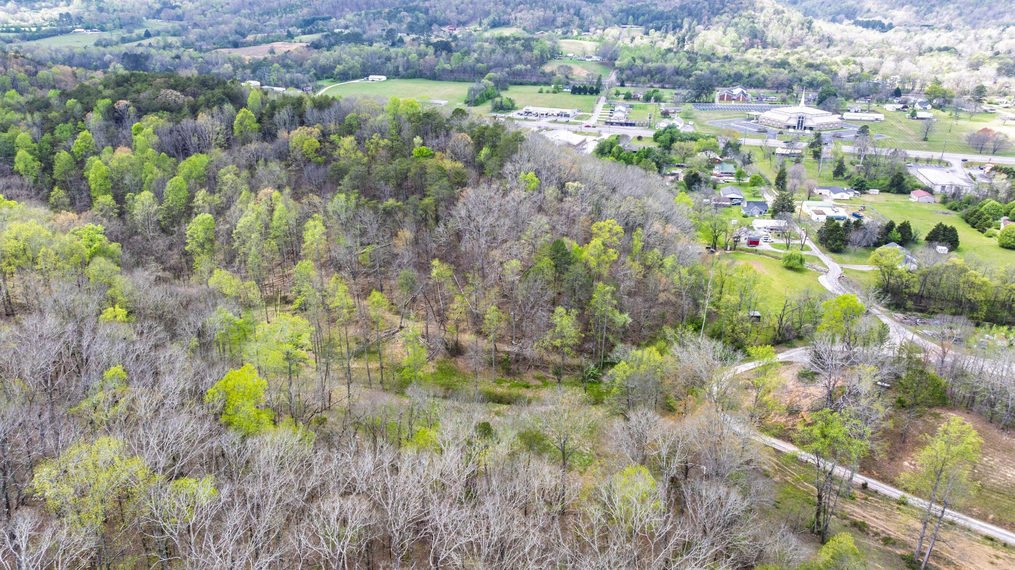 124 Gothard Road Sale Creek, TN 37373 - Photo 42 of 56