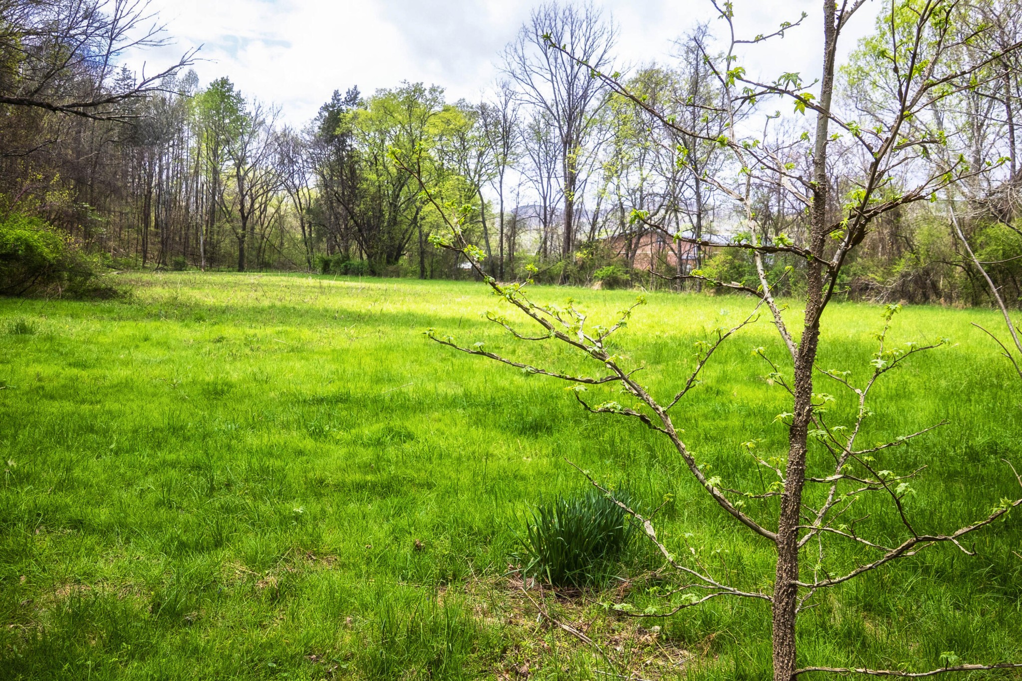 124 Gothard Road Sale Creek, TN 37373 - Photo 52 of 56 a view of swimming pool with an outdoor space and seating area