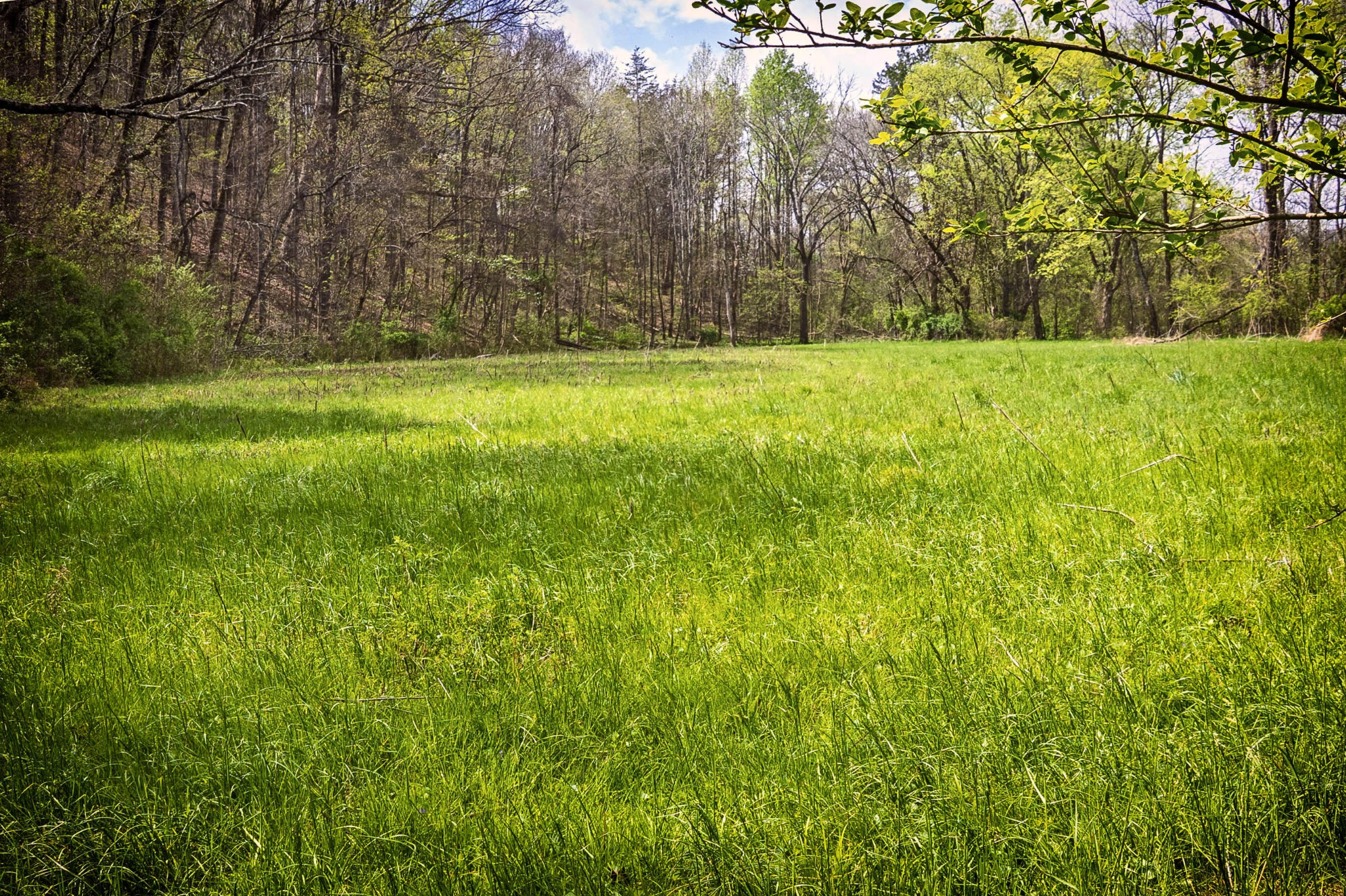 124 Gothard Road Sale Creek, TN 37373 - Photo 53 of 56 a view of an outdoor space and a yard