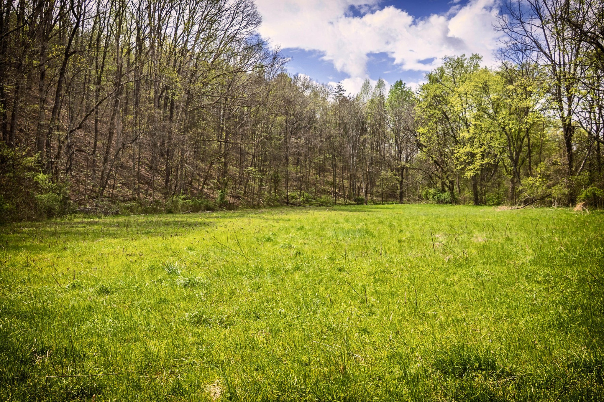 124 Gothard Road Sale Creek, TN 37373 - Photo 54 of 56