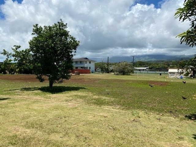 Crossley Road, Unit 1 Kapaa, HI 96746 - Photo 6 of 9