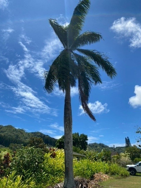 Crossley Road, Unit 1 Kapaa, HI 96746 - Photo 9 of 9