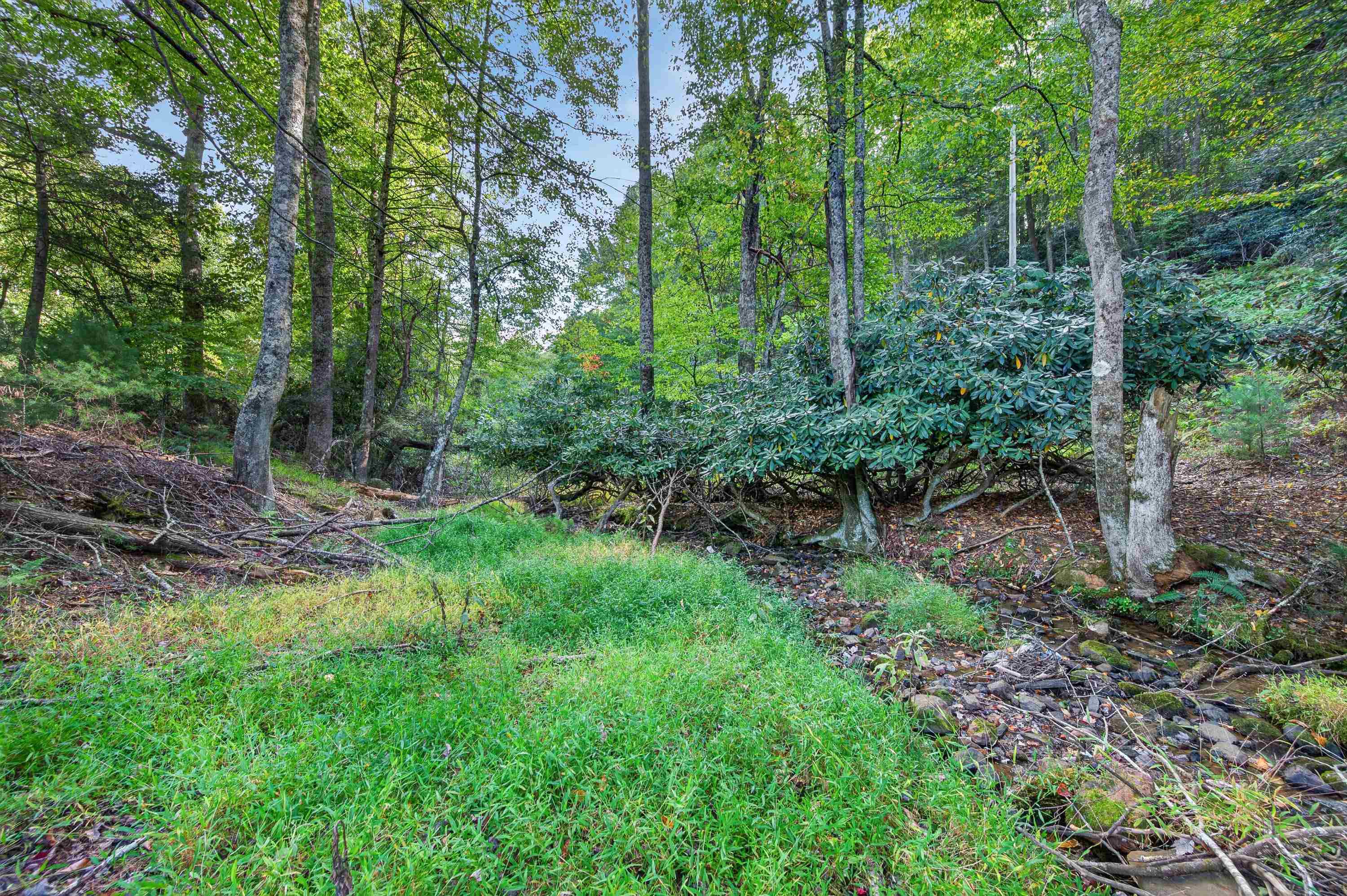 1310 Reedsville Road Northwest Floyd, VA 24091 - Photo 53 of 69 Gallery Image 53
